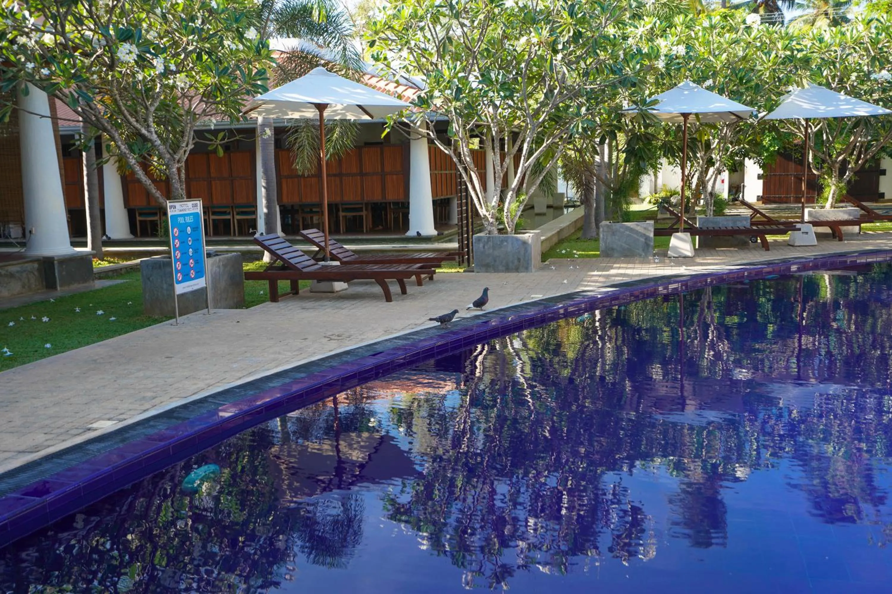 Garden in Hotel Tamarind Tree