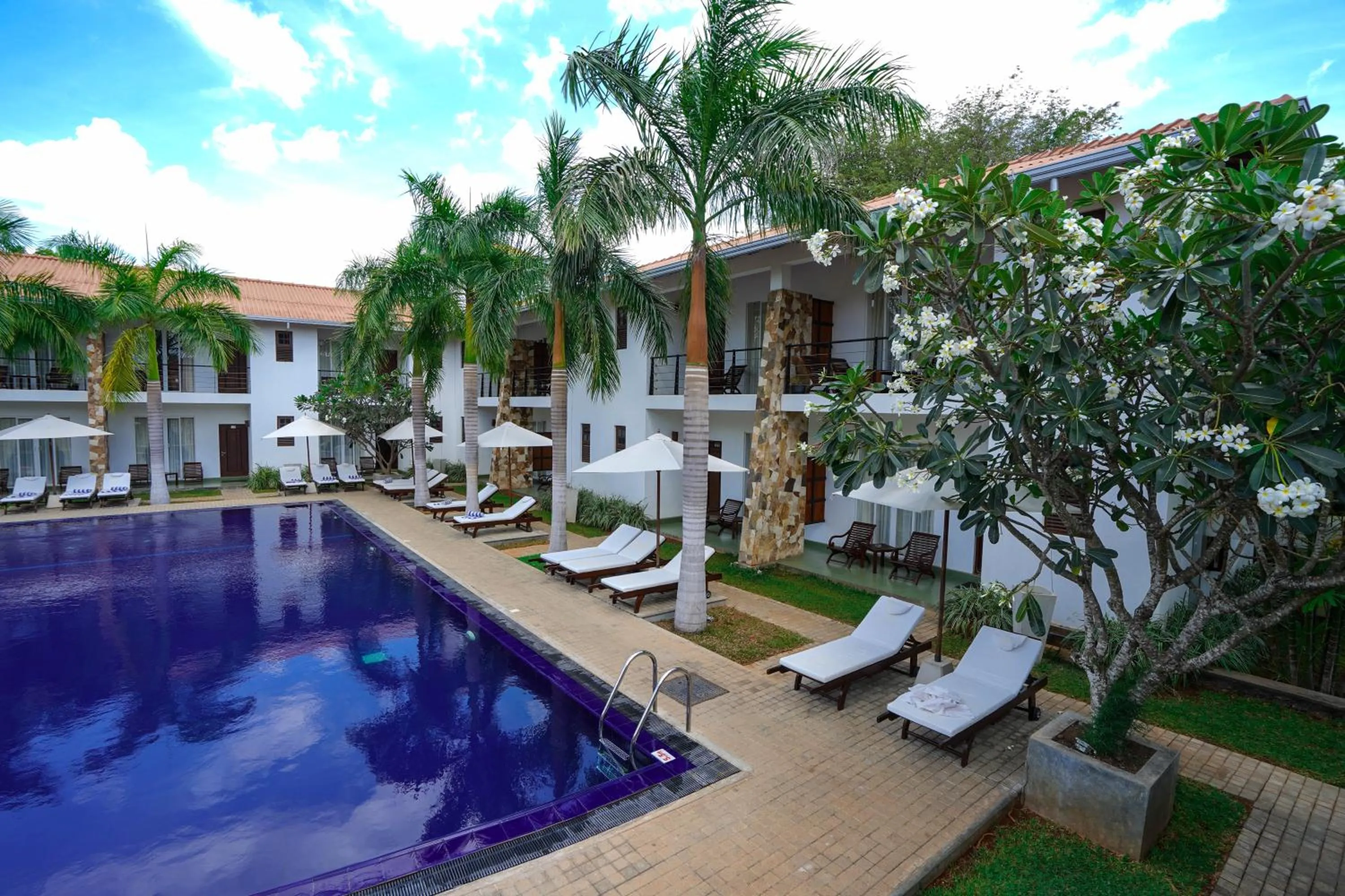Pool view in Hotel Tamarind Tree