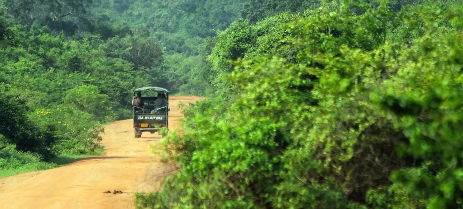 Natural landscape in Hotel Tamarind Tree