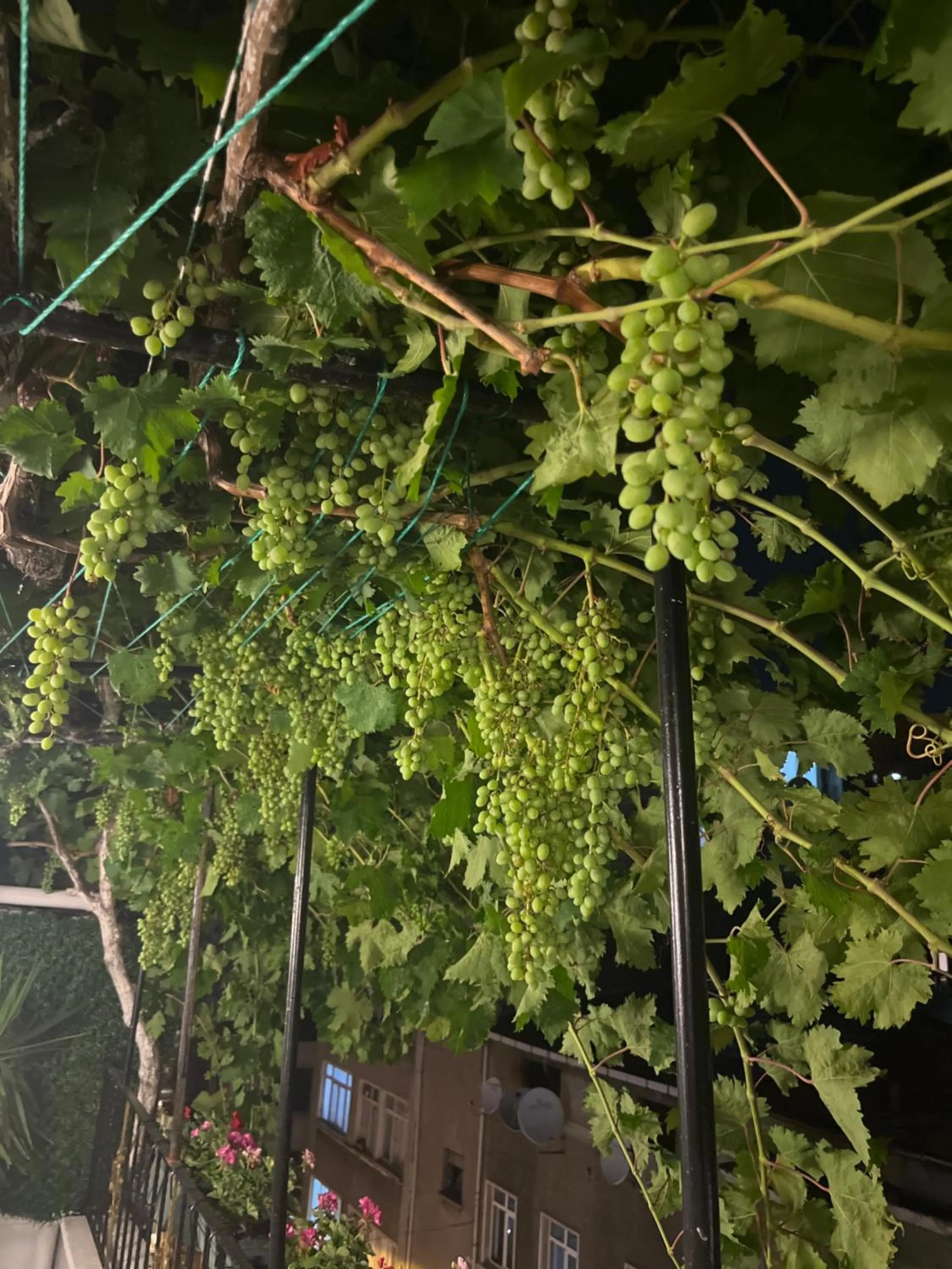 Property building in Taksim Neo Pera Suites