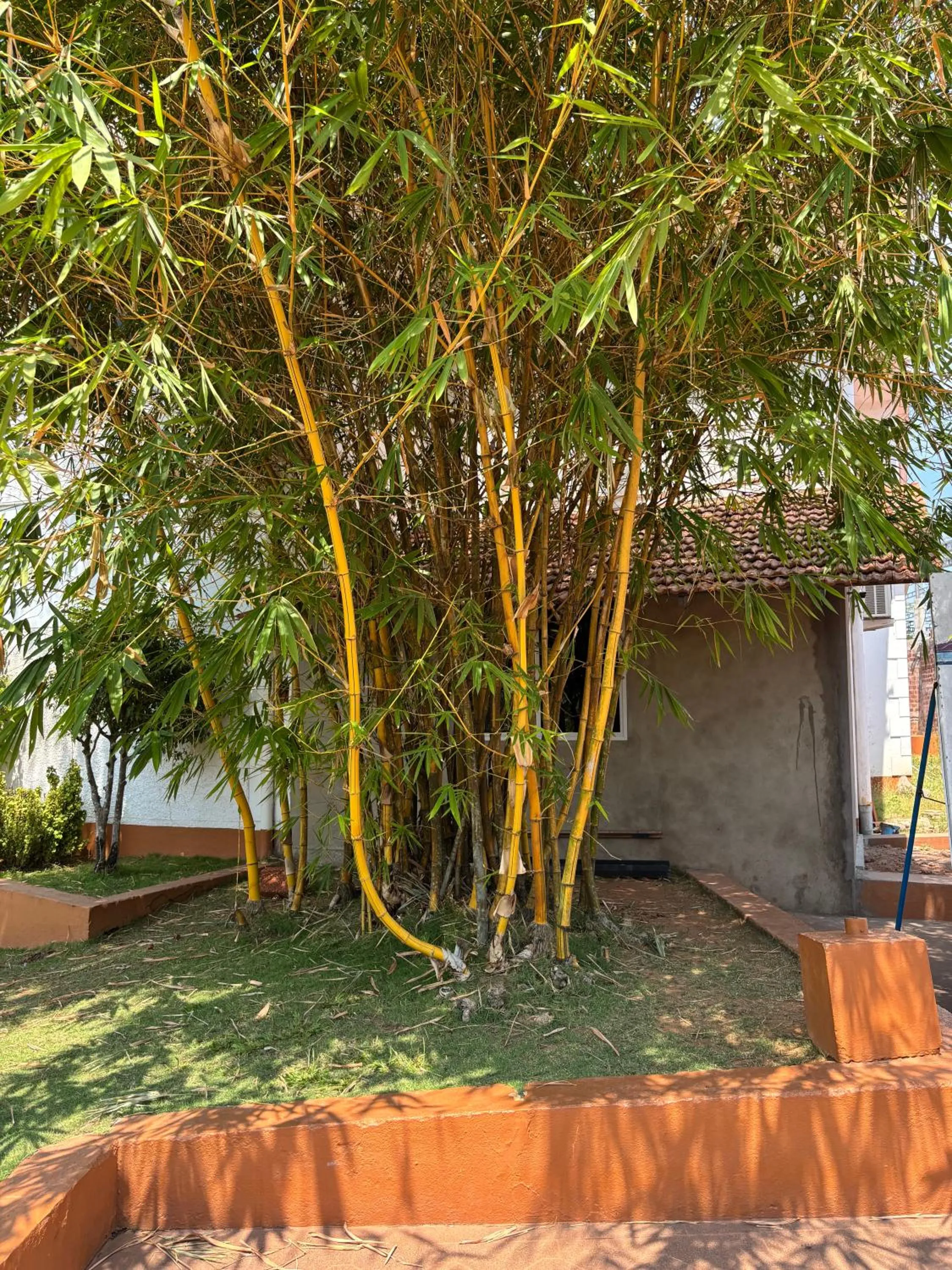 Garden in Manasa Water Park and Resort