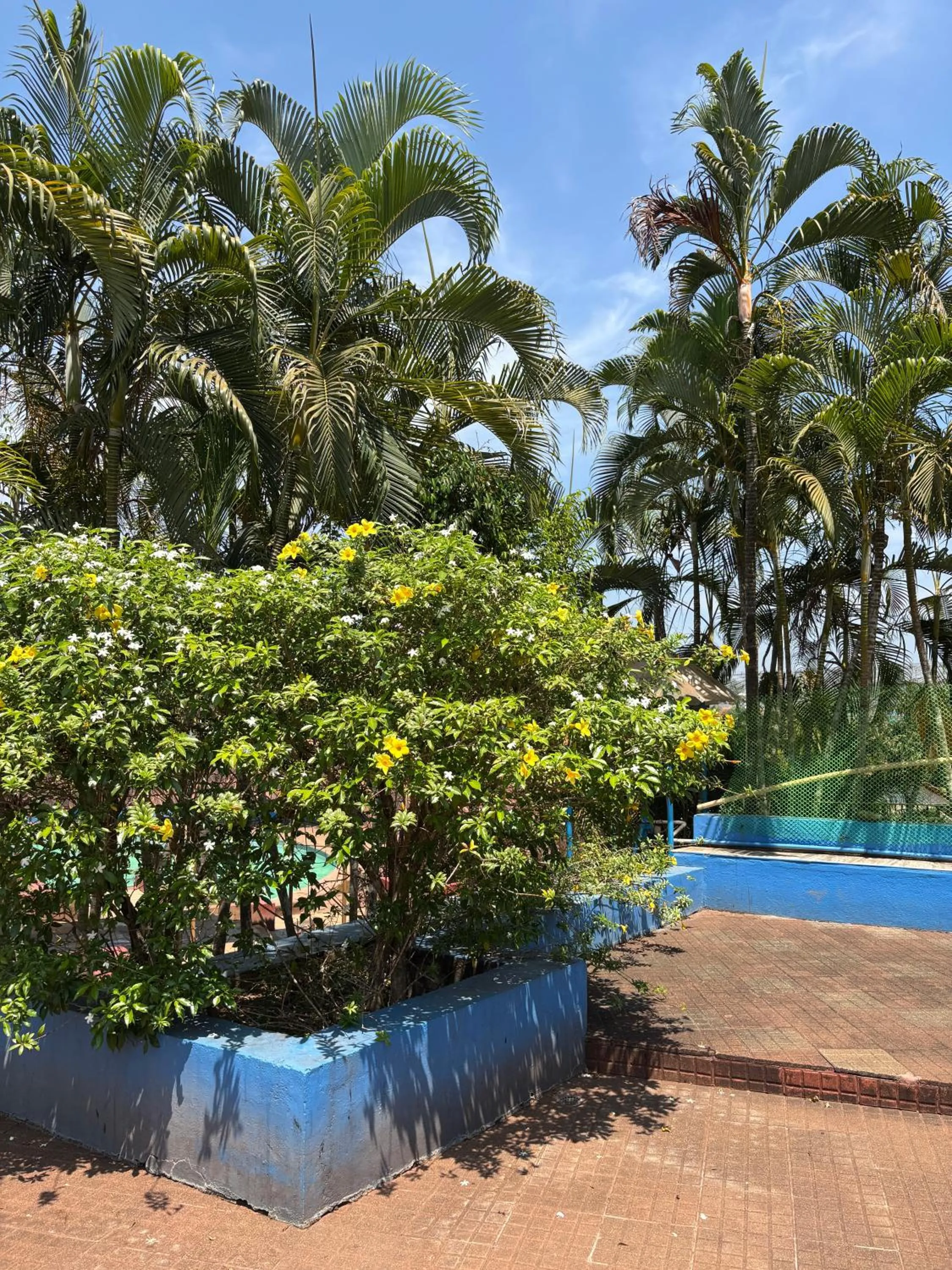 Garden in Manasa Water Park and Resort