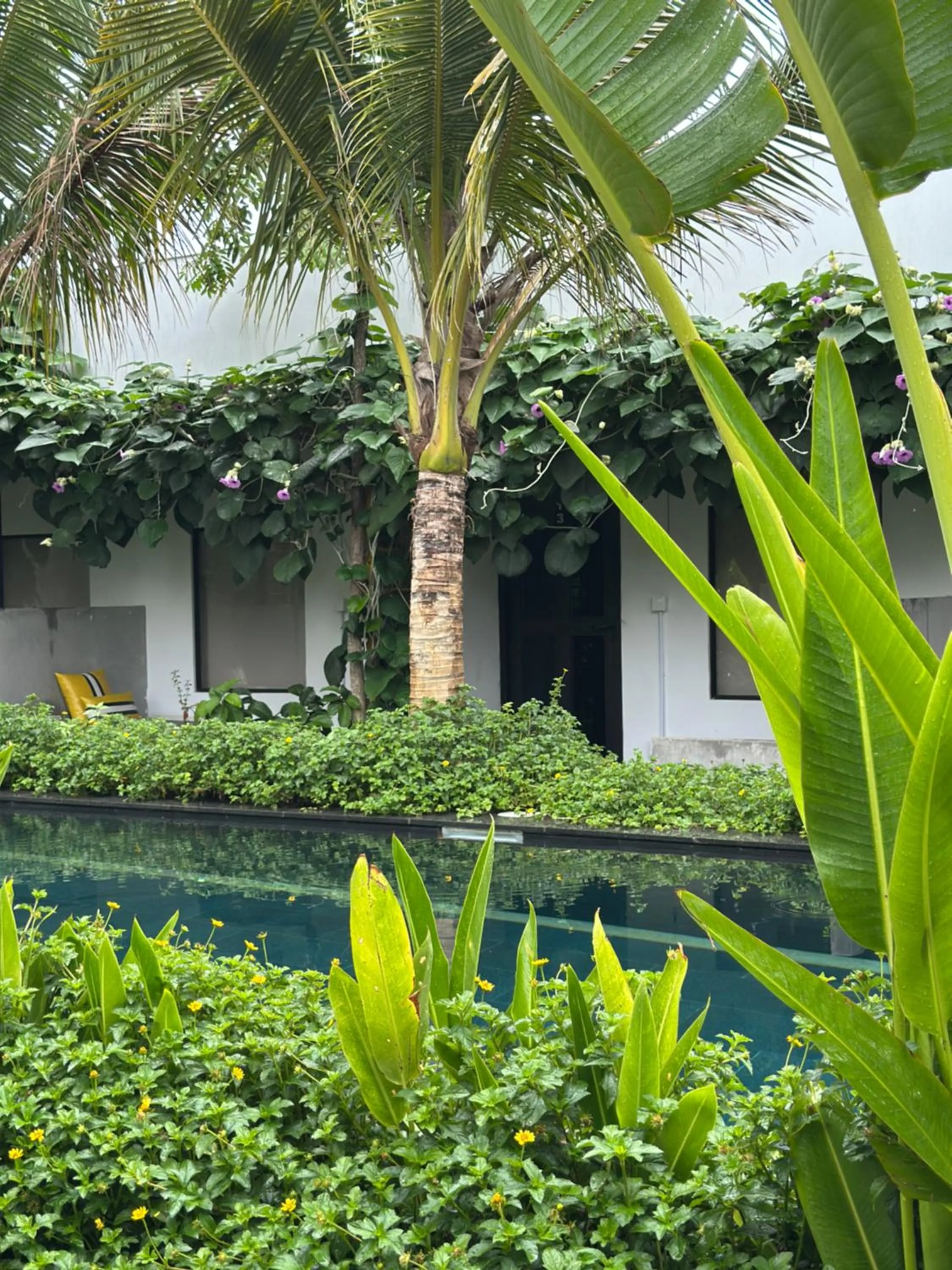 Swimming pool in veHaa BOUTIQUE HOTEL