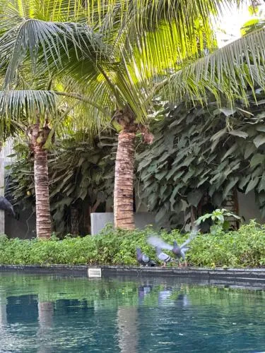 Swimming pool in veHaa BOUTIQUE HOTEL