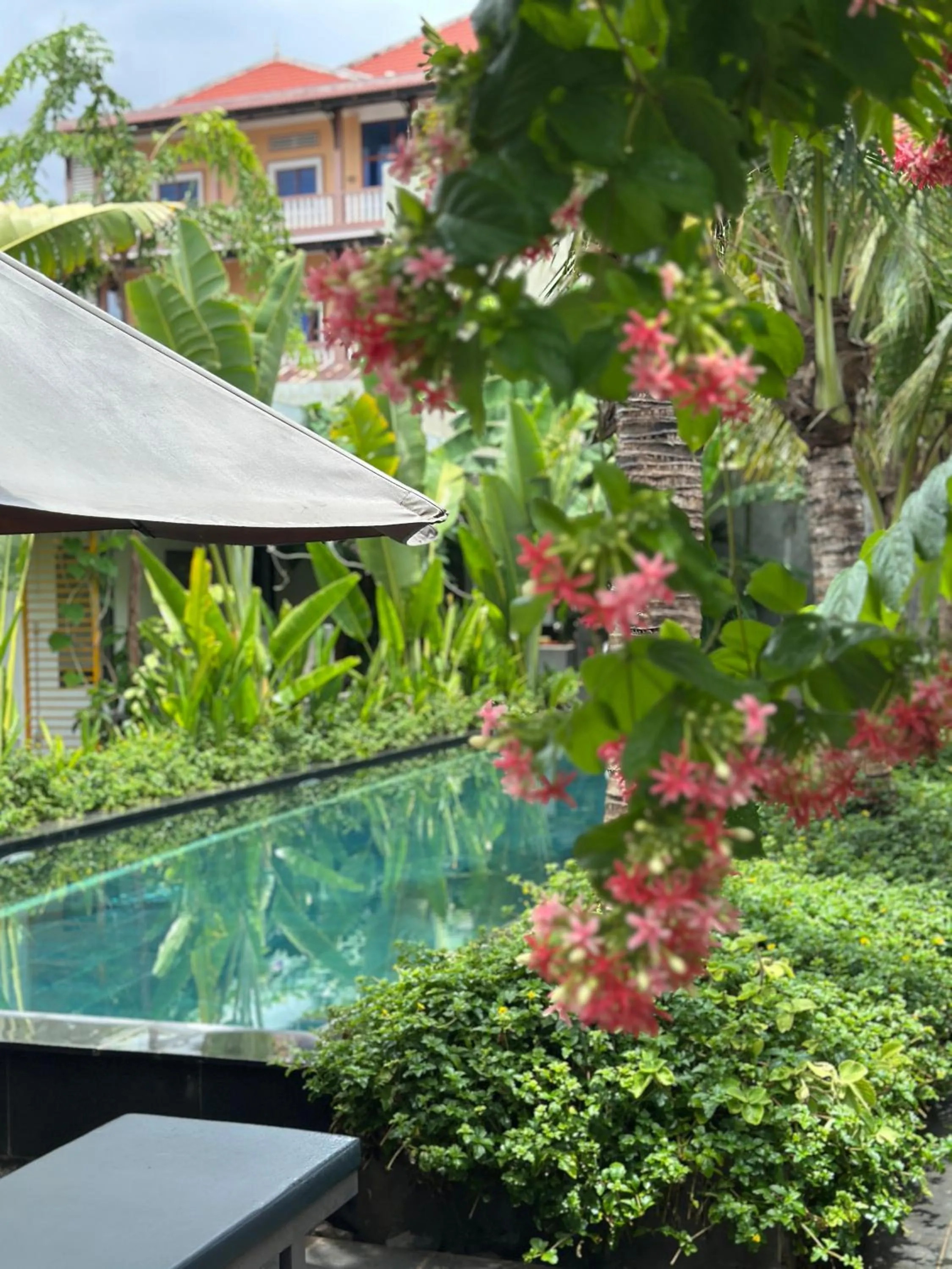 Natural landscape in veHaa BOUTIQUE HOTEL