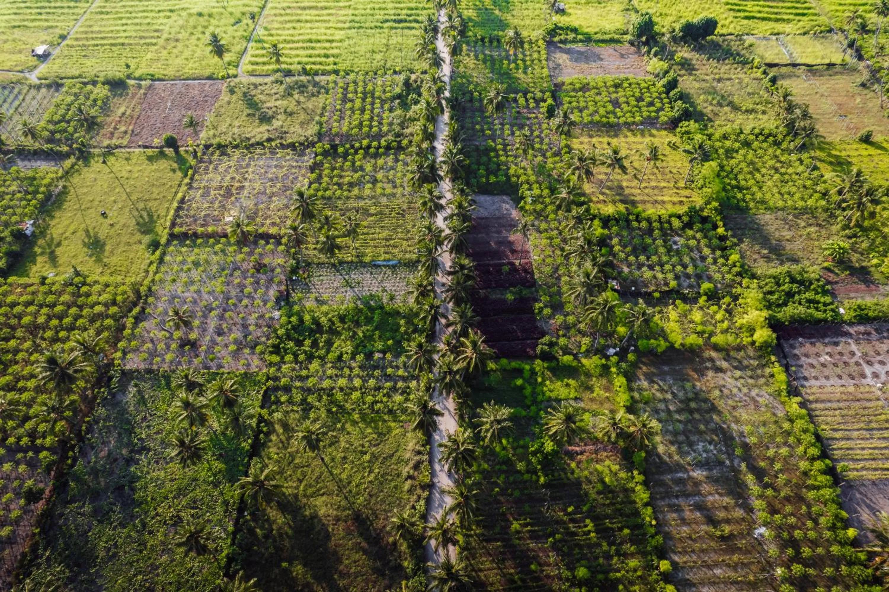 Natural landscape in Belena Maldives