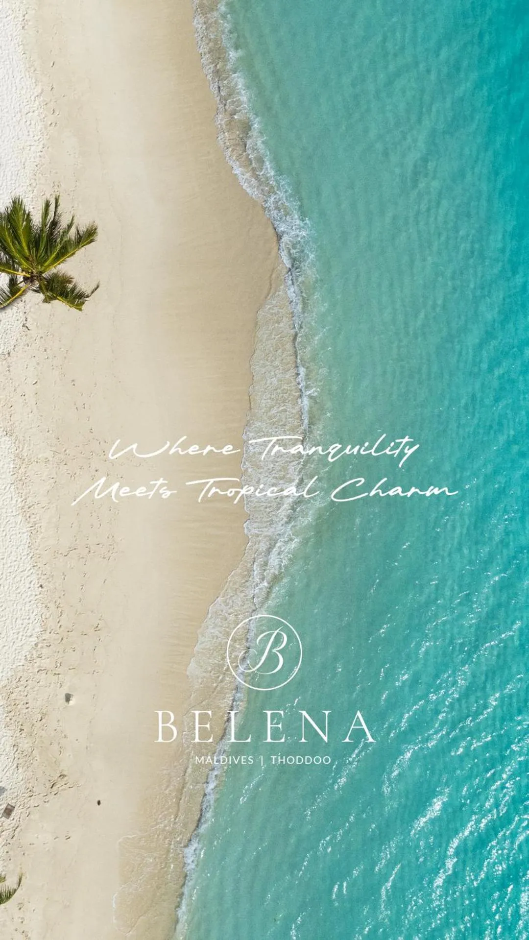 Logo/Certificate/Sign in Belena Maldives