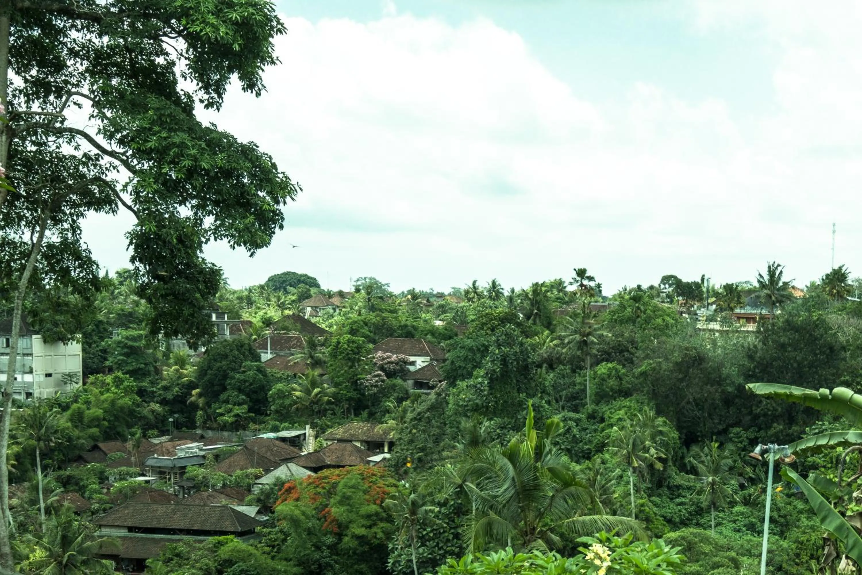 Mountain view in Murni's Houses & Spa