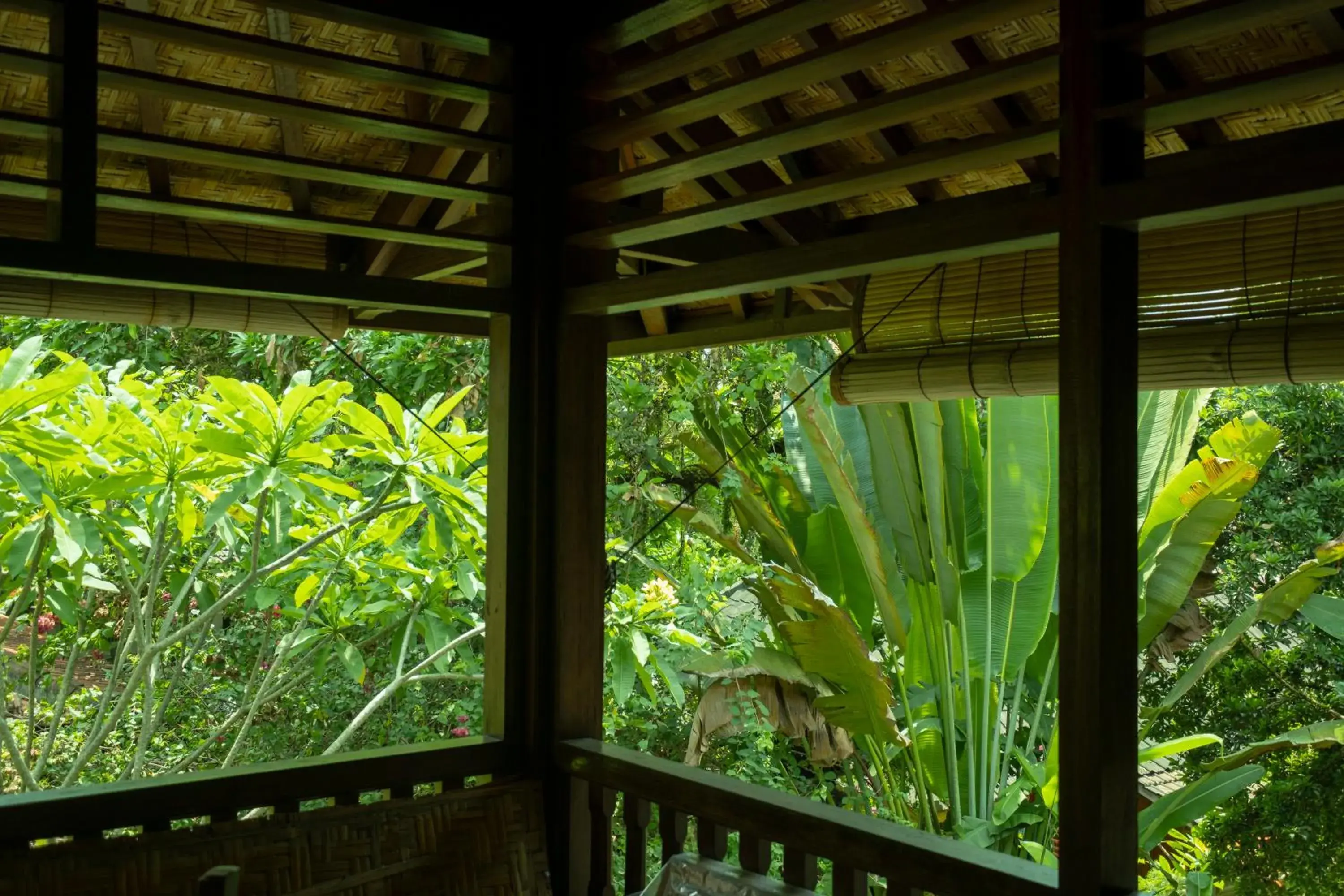 Garden view in Murni's Houses & Spa Garden view in Murni's Houses & Spa