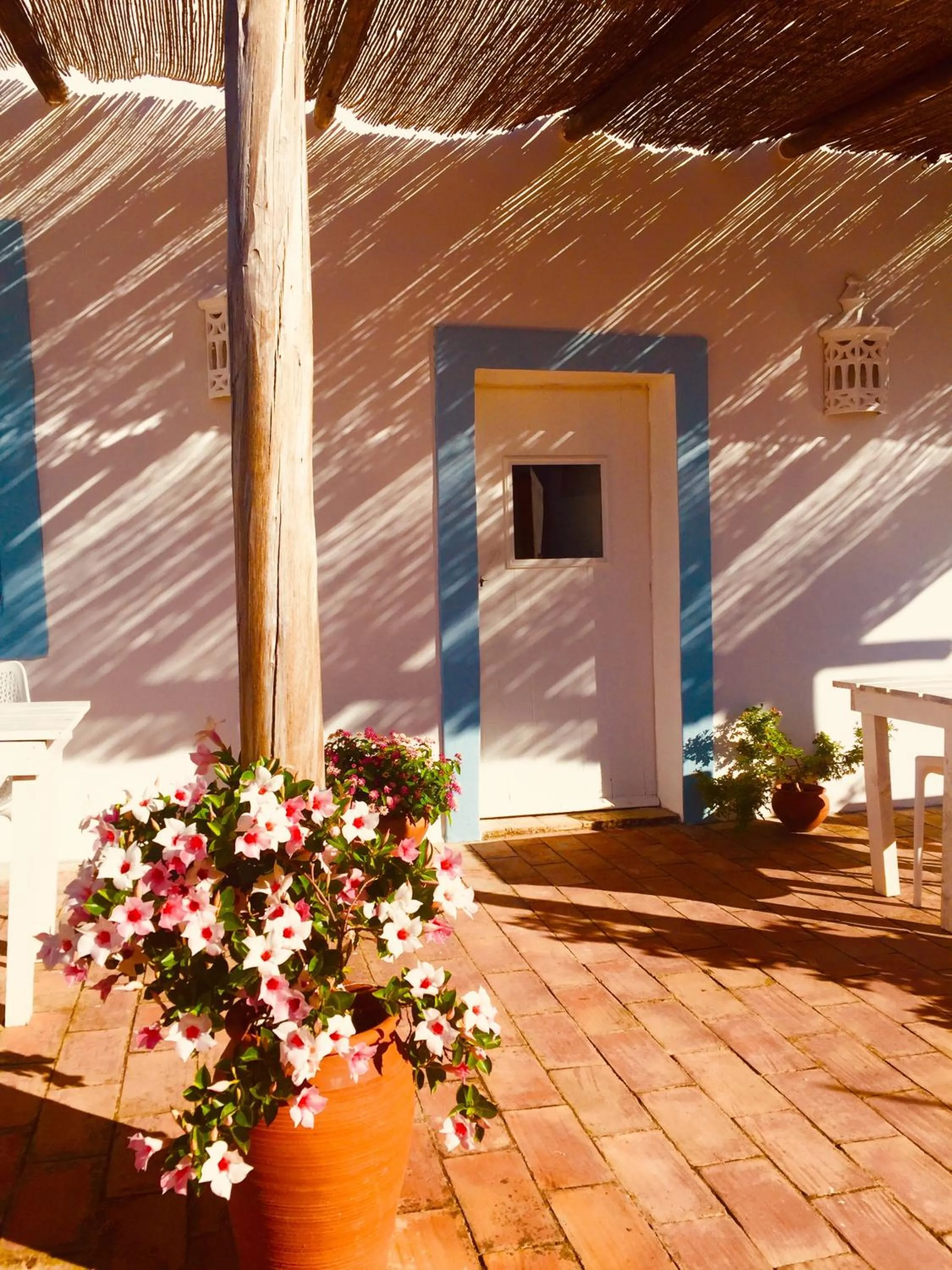 Garden in Casa Largo do Poço Guesthouse