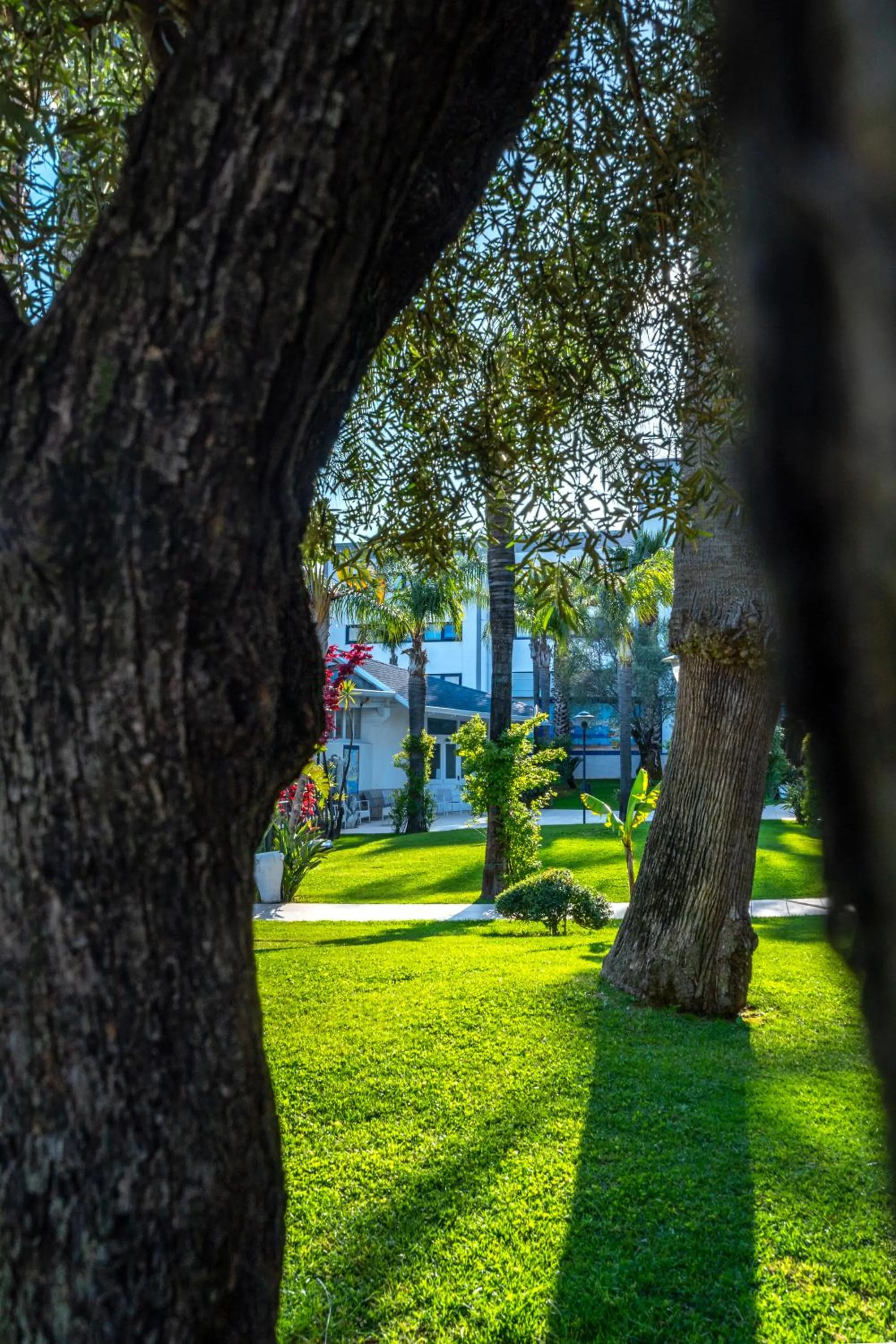 Summer in Hotel San Luca
