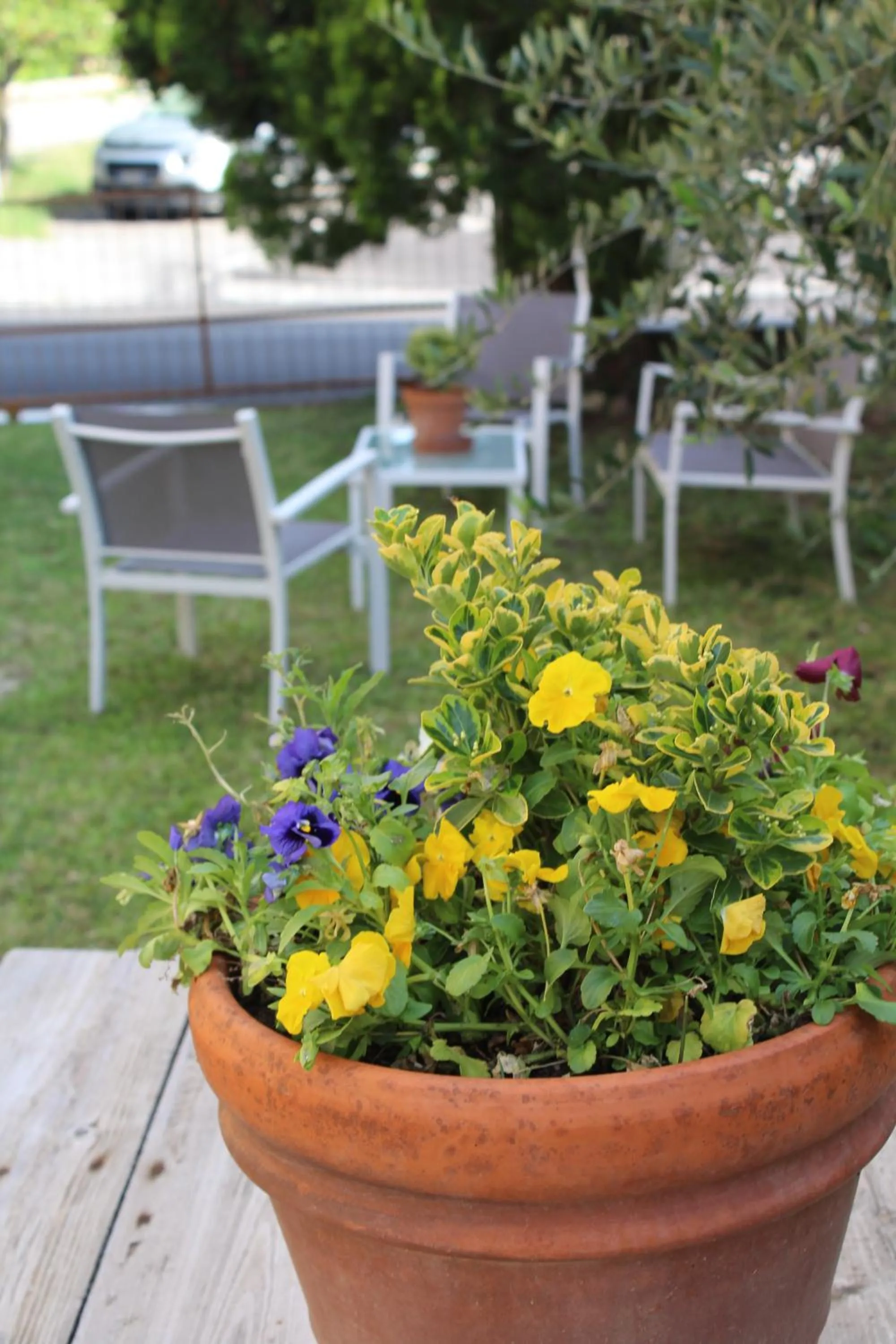 Garden in Alle Terme B&B