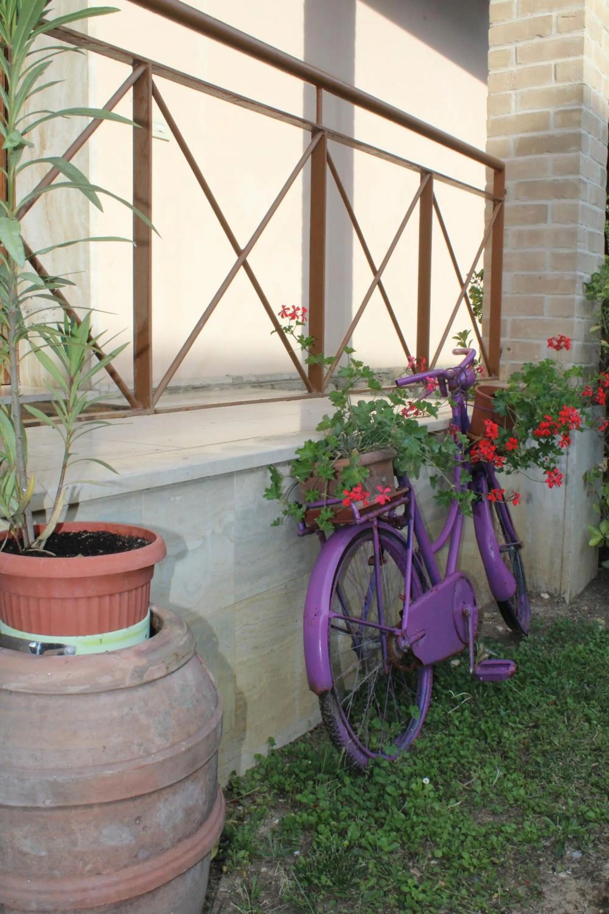 Garden in Alle Terme B&B