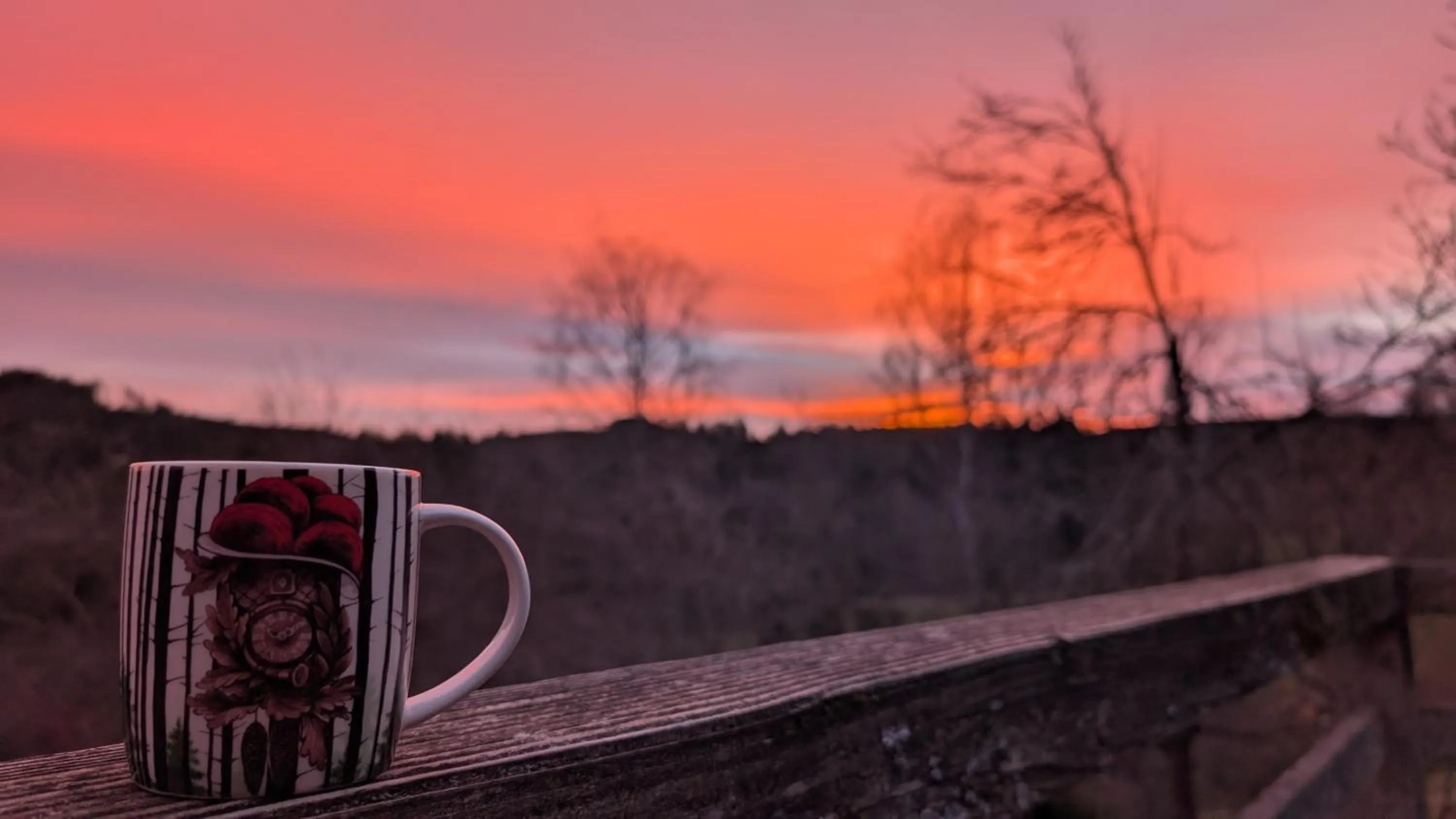 Natural landscape in Hotel Central Garni