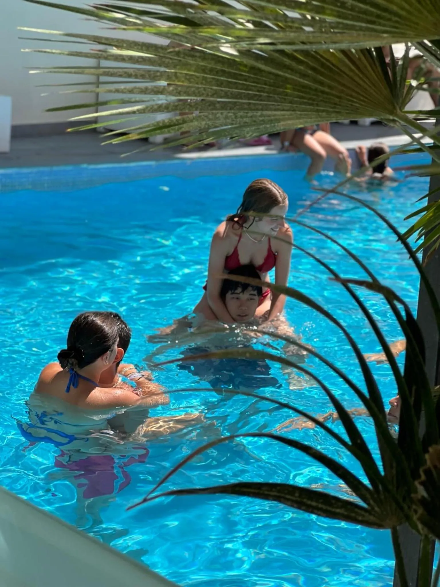 Swimming pool in Hotel Ardea