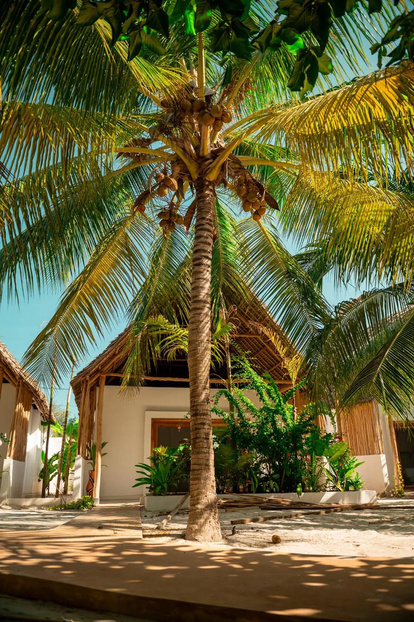 Property building in LUJO Zanzibar Resort