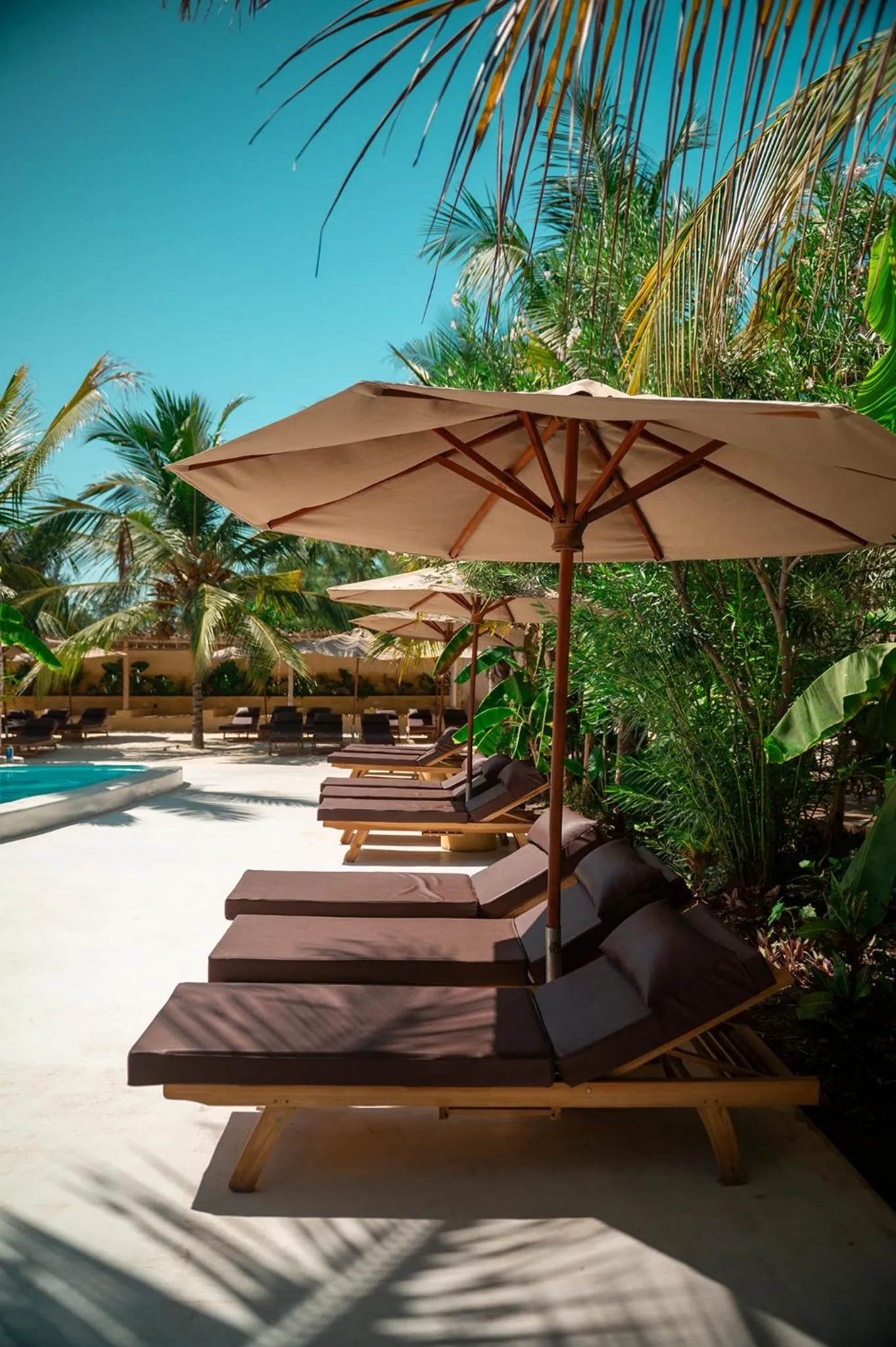 sunbed in LUJO Zanzibar Resort