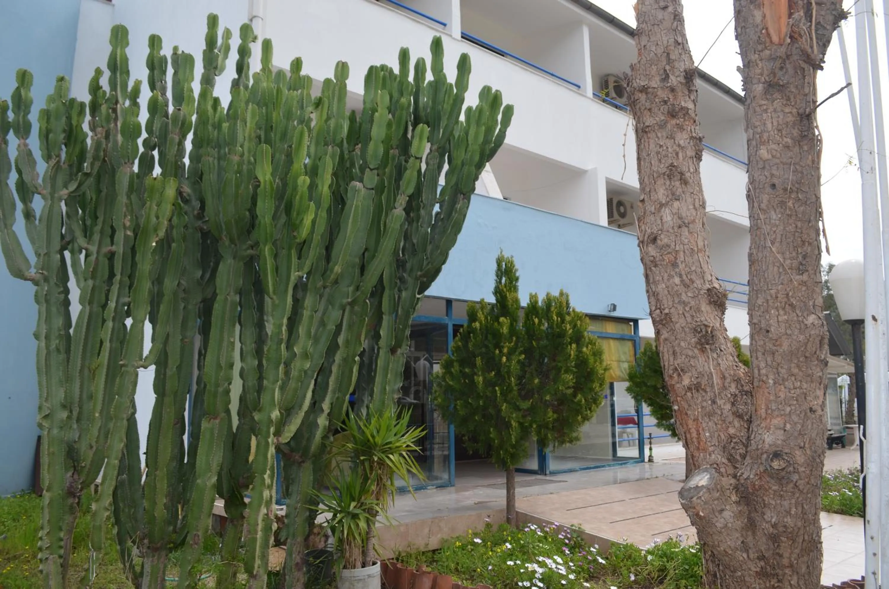 Facade/entrance in Park Avrupa Hotel