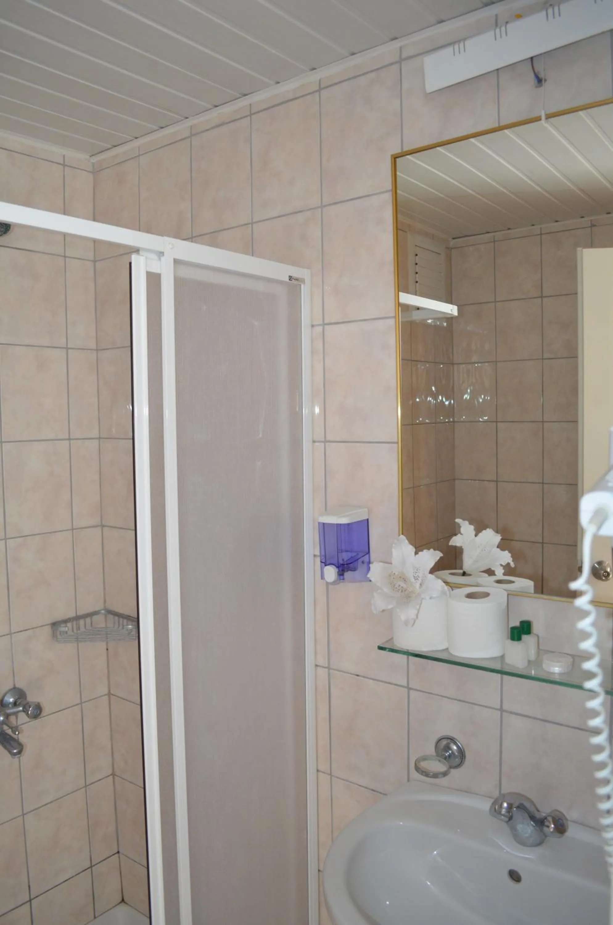 Shower in Park Avrupa Hotel