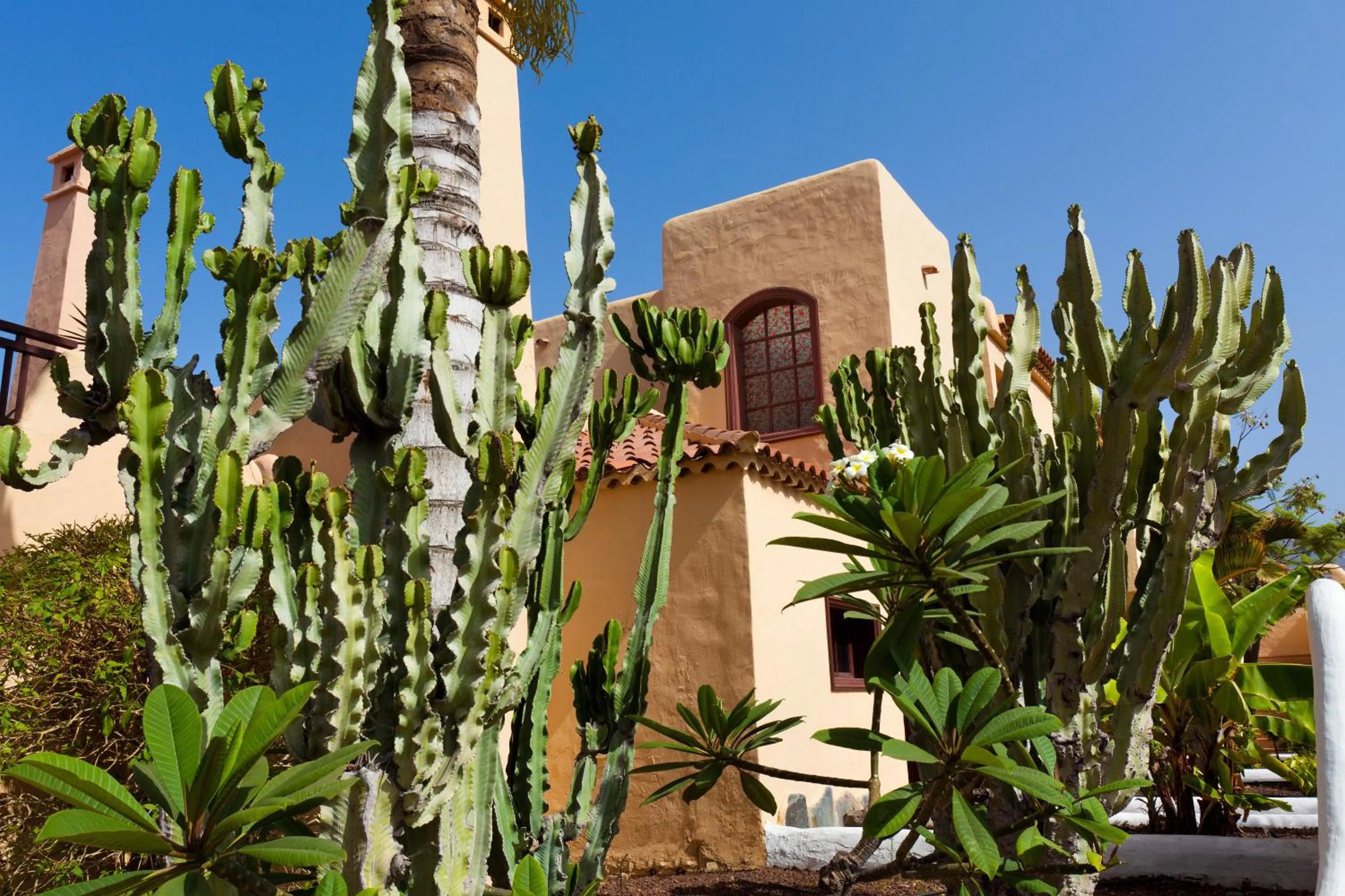 Facade/entrance in Tagoro Family & Fun Costa Adeje