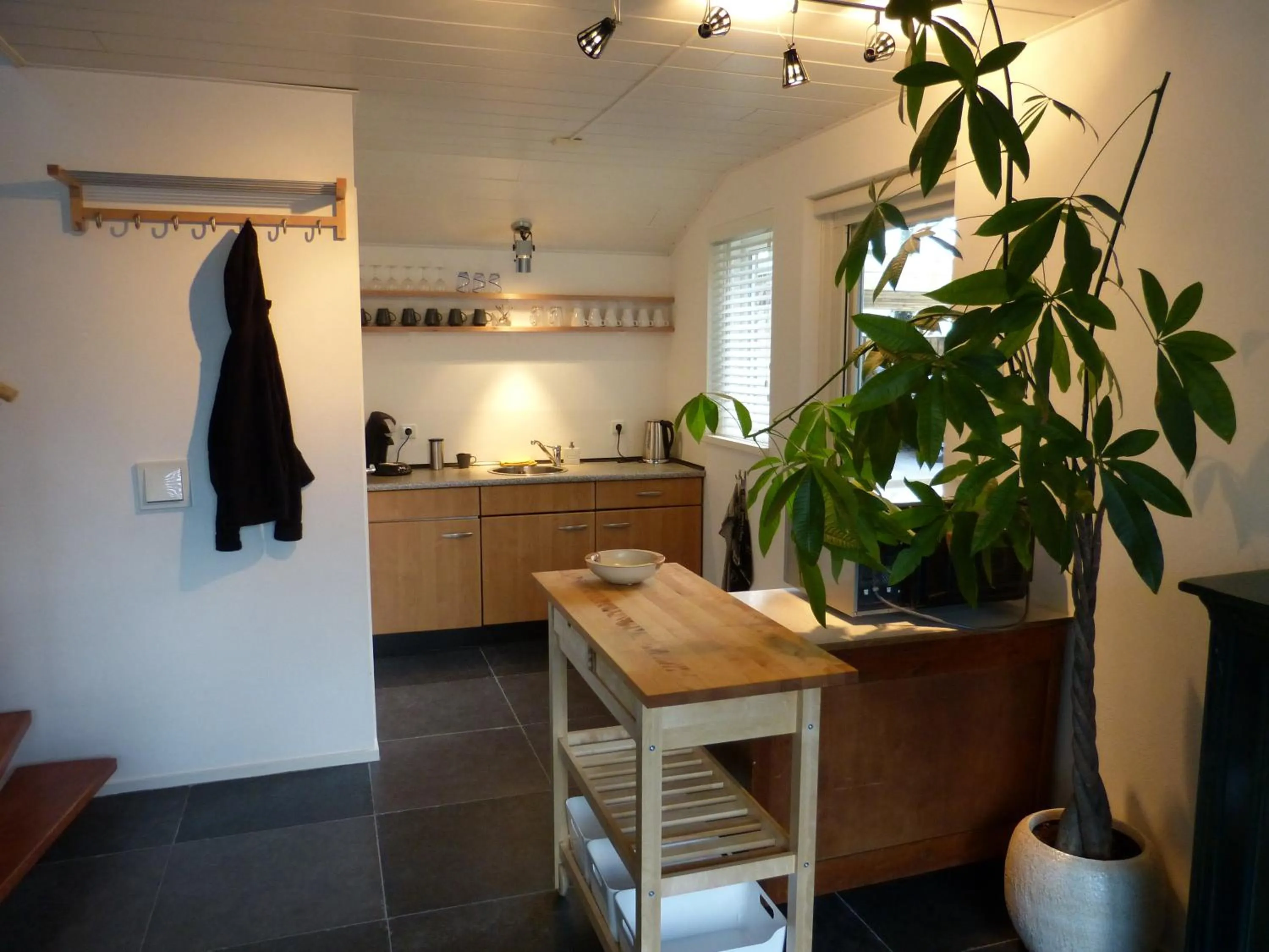 Kitchen or kitchenette in B&B Oostrik