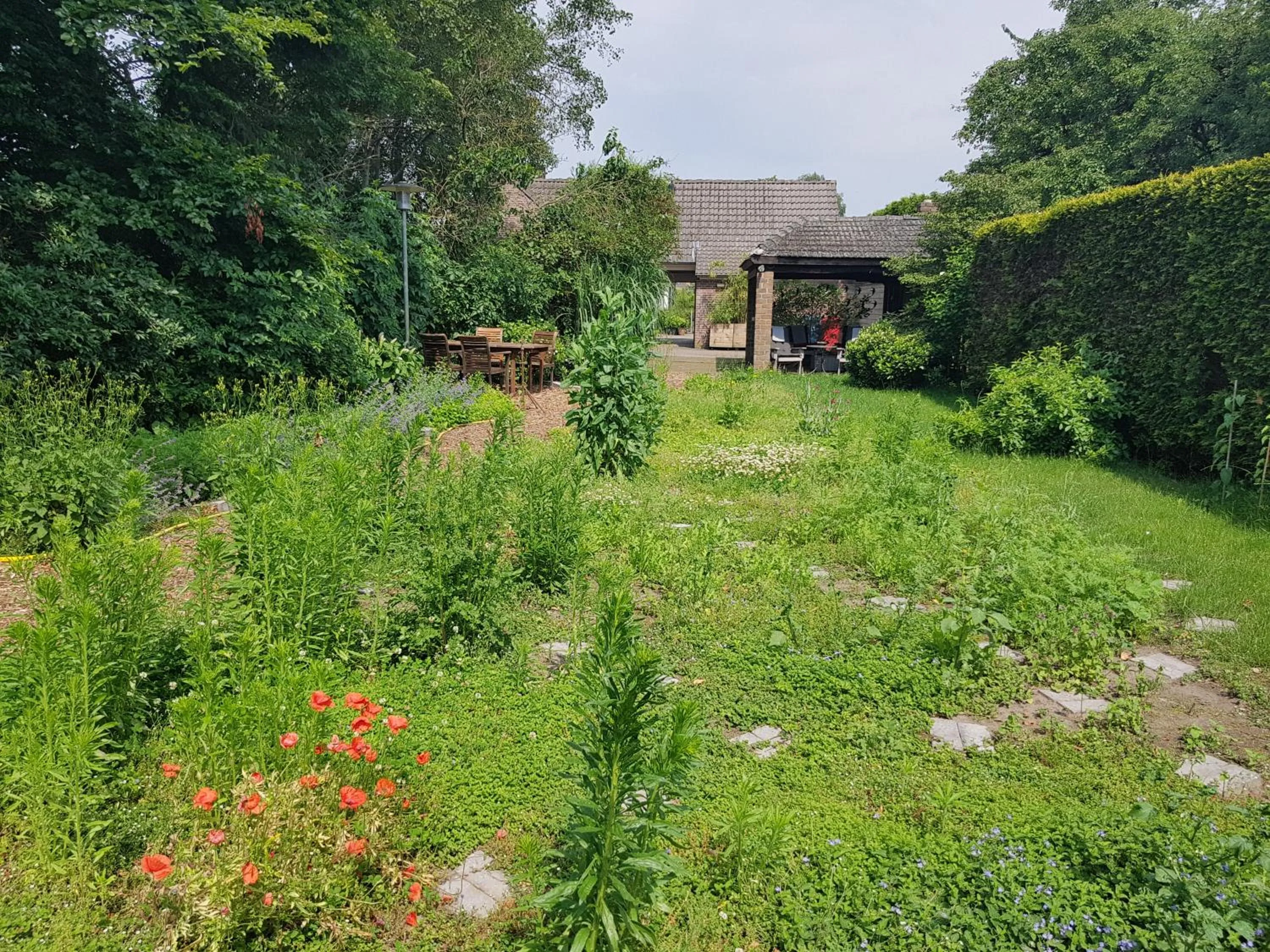 Property building in B&B Oostrik