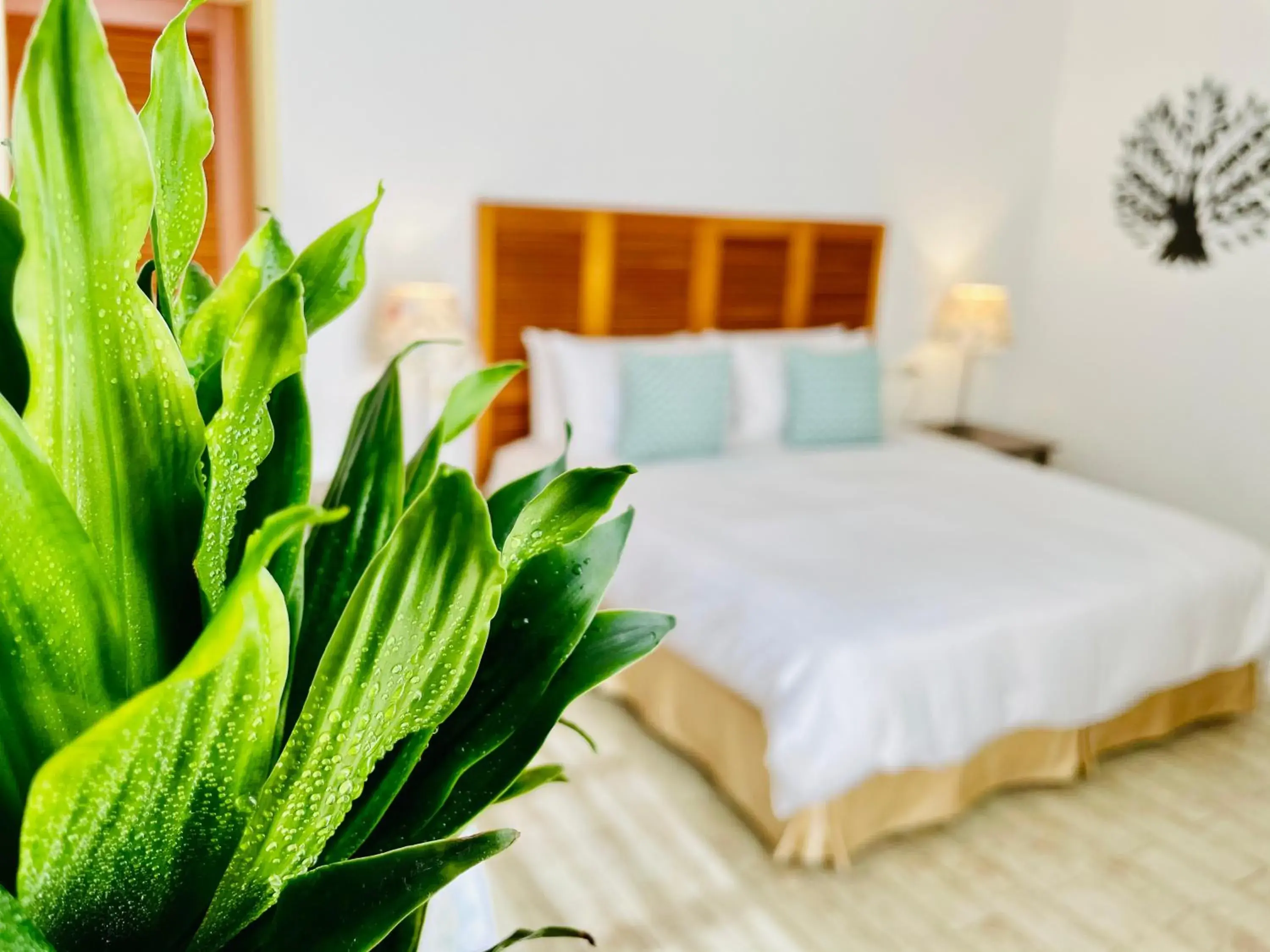 Decorative detail, Bed in SpoonDrift Hostal Kenting Decorative detail, Bed in SpoonDrift Hostal Kenting