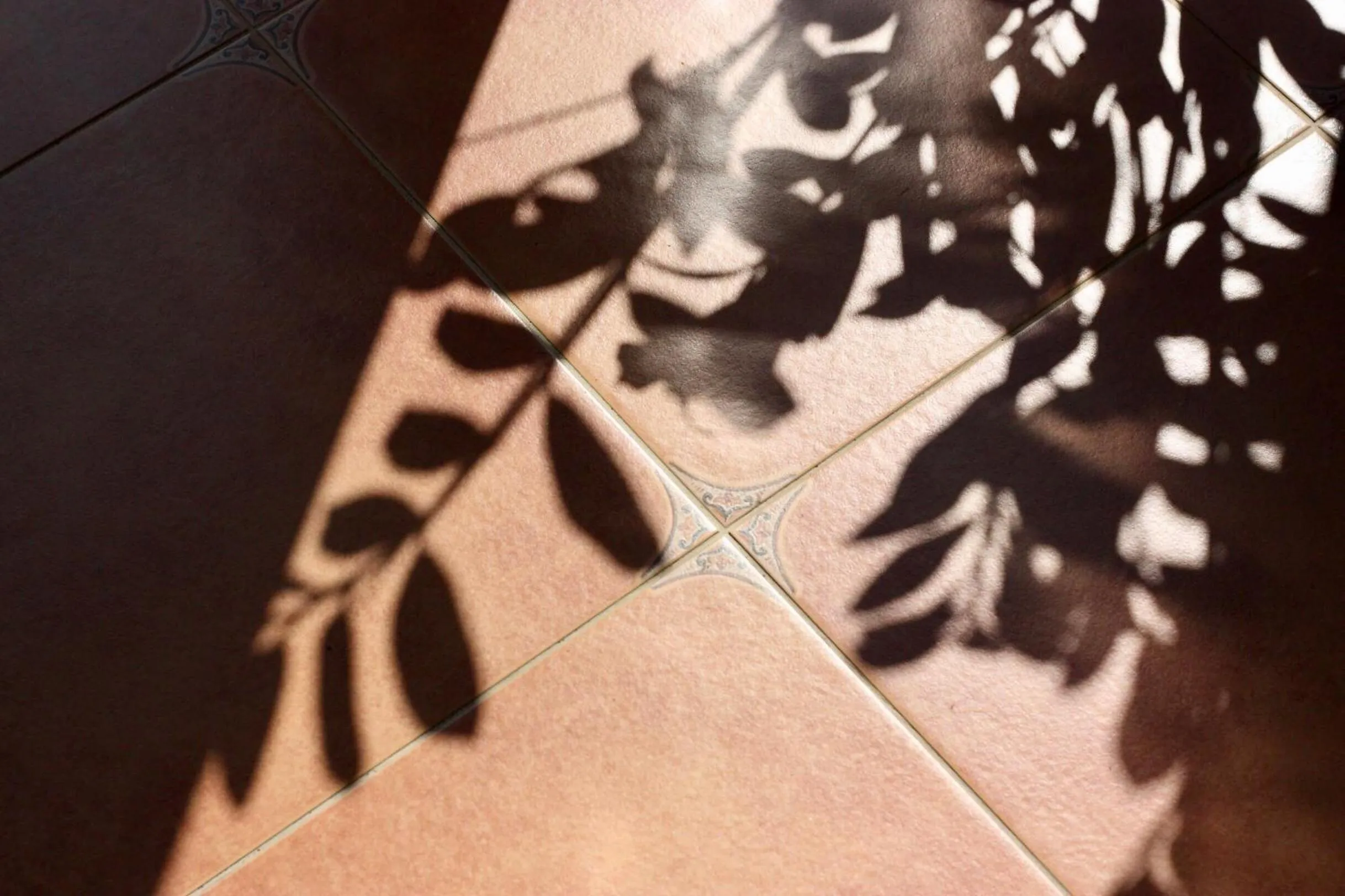 Other in SpoonDrift Hostal Kenting