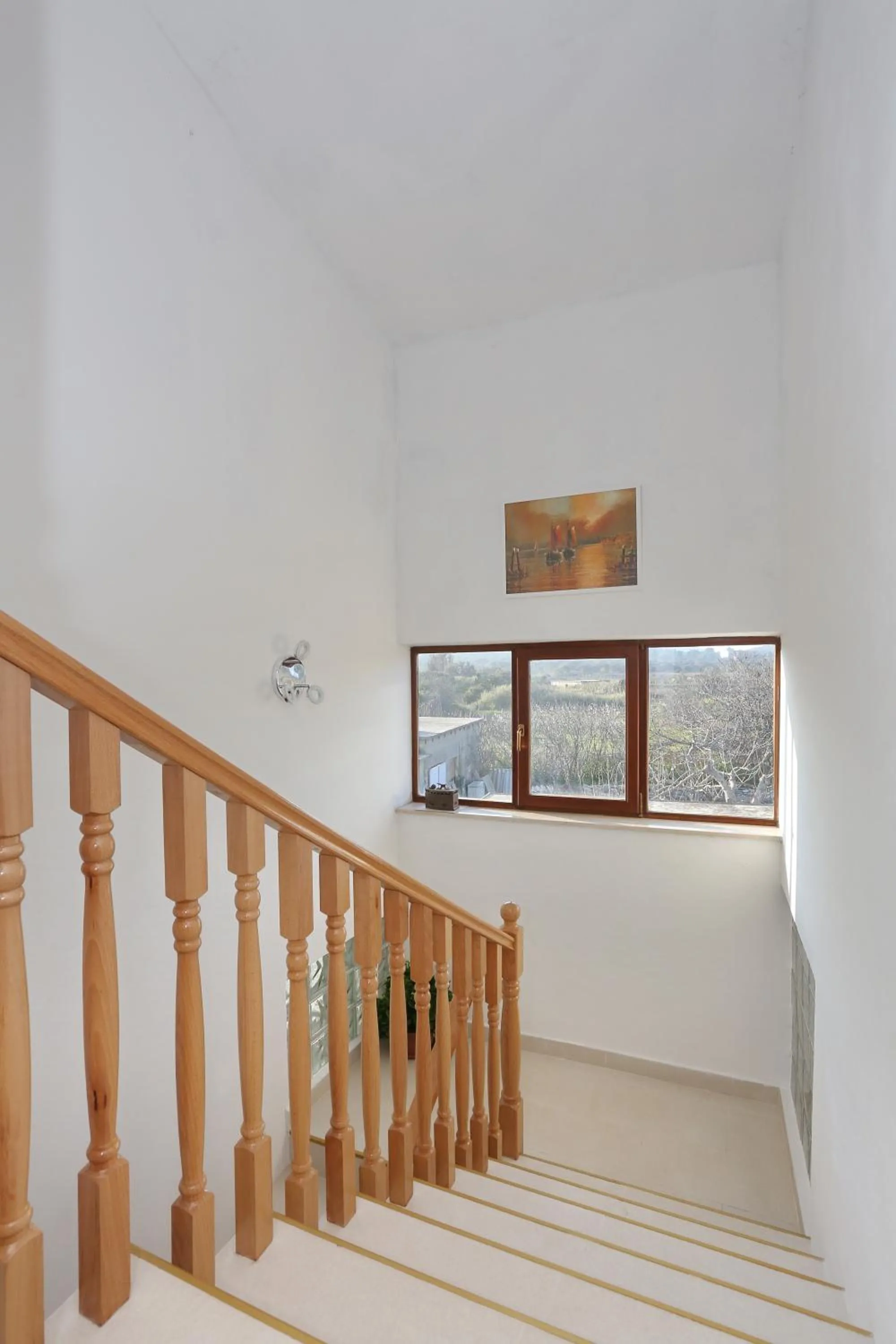 Property building in Apartments Maslina Božava