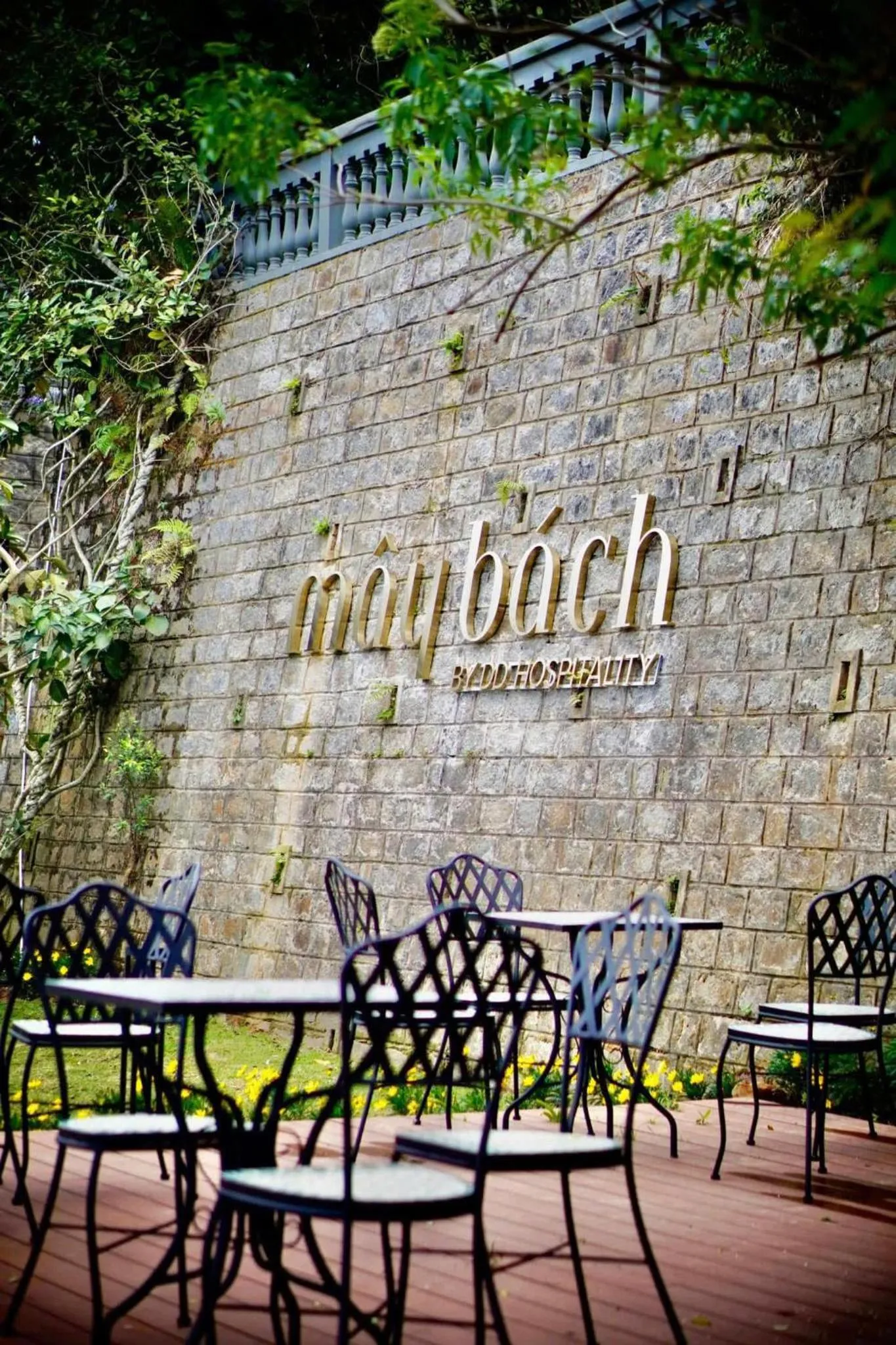 DD Hospitality - Mây Bách Đà lạt