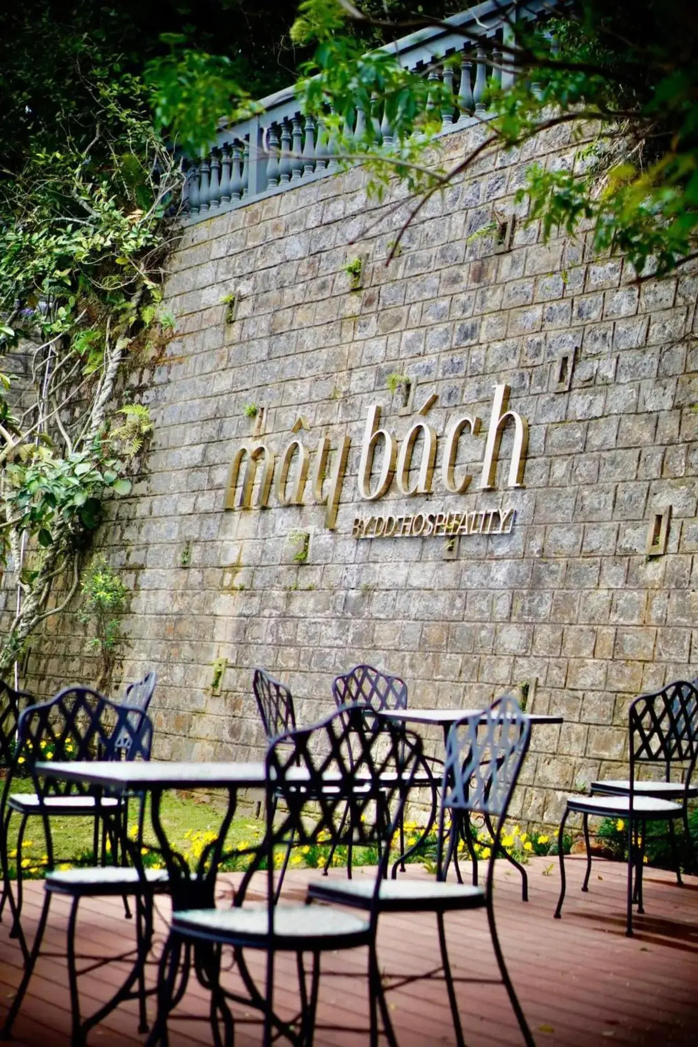 DD Hospitality - Mây Bách Đà lạt DD Hospitality - Mây Bách Đà lạt