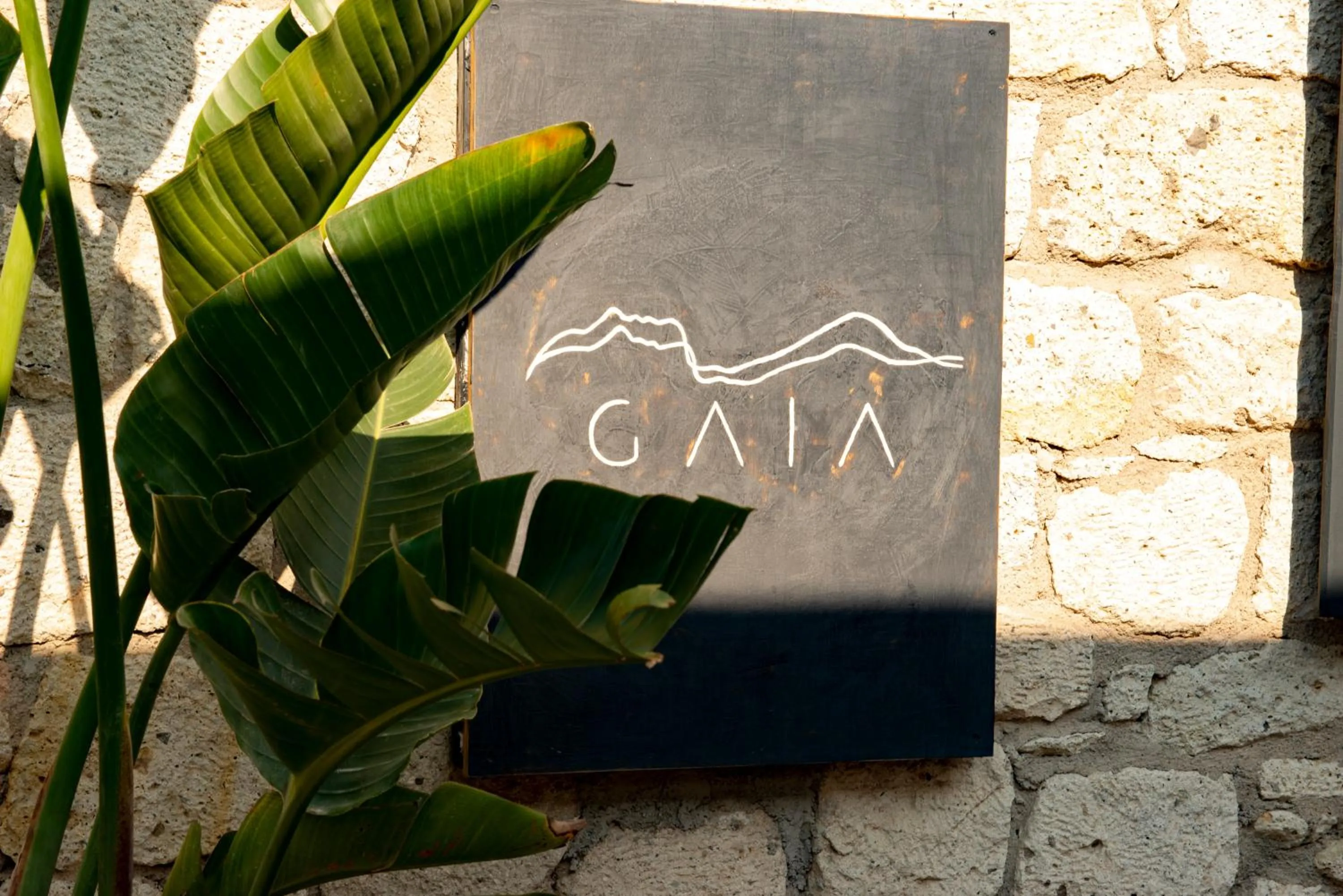 Facade/entrance in GAIA ALAÇATI