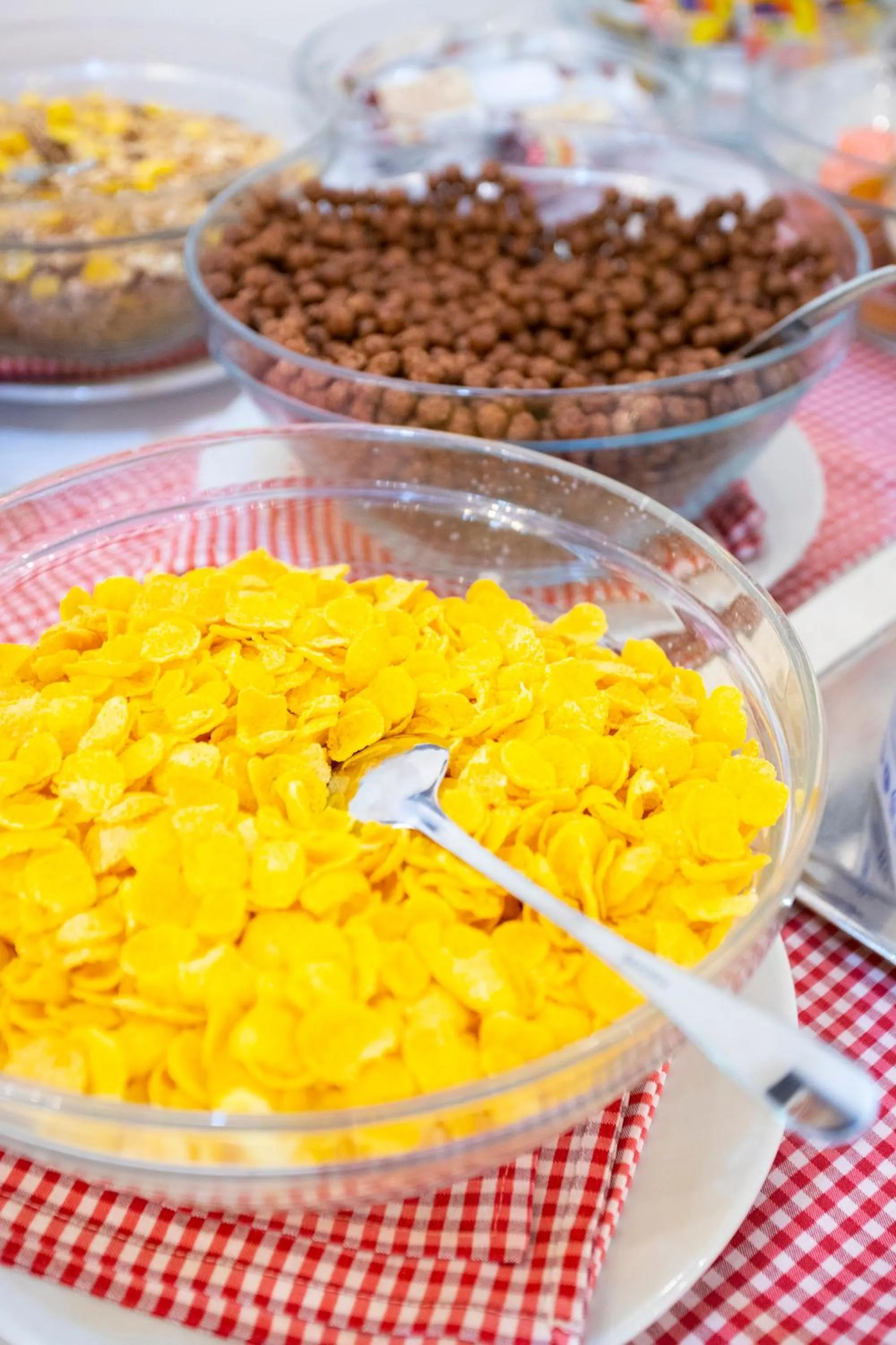 Breakfast in Apartments Medena