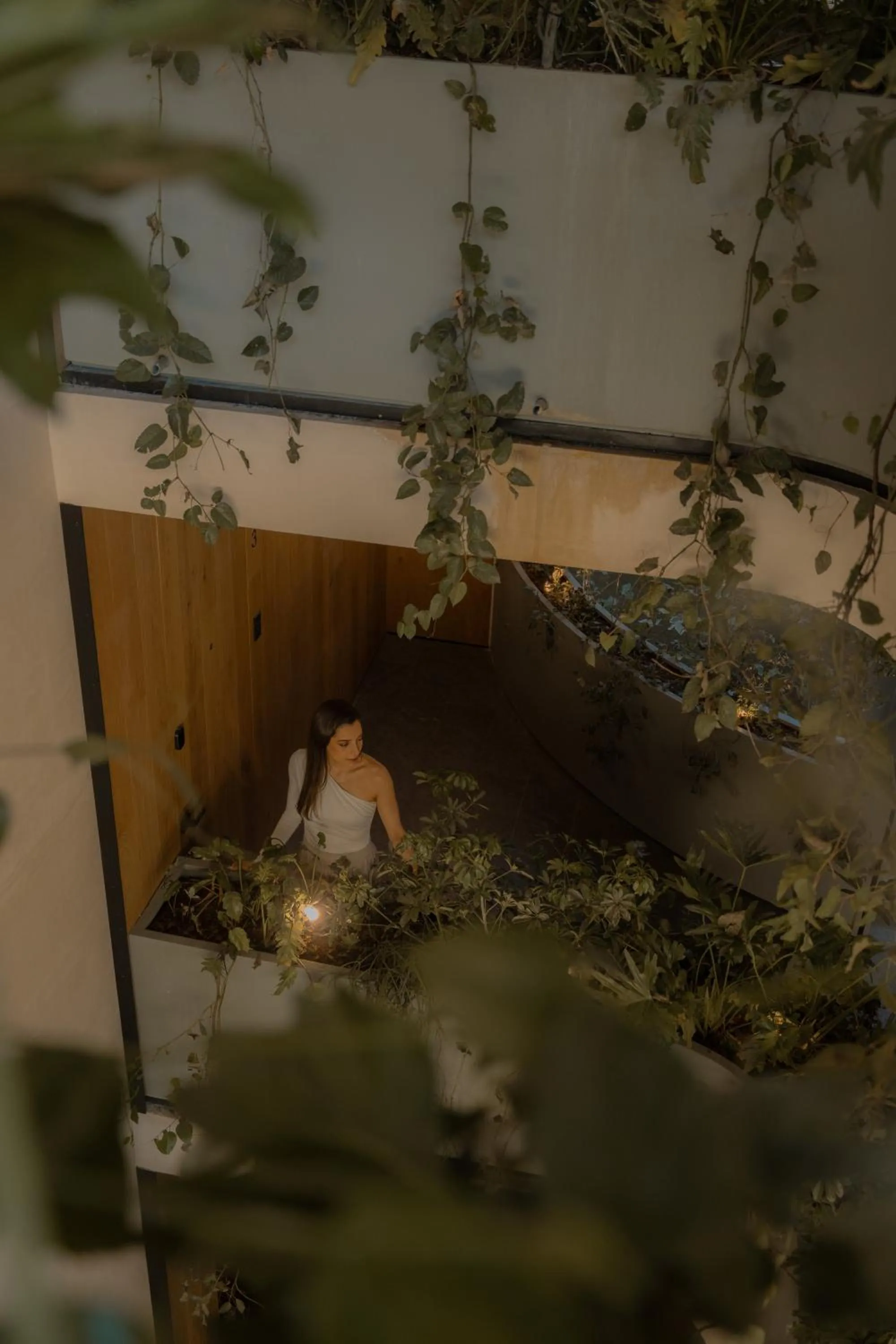 Night in ONTO Alvaro Obregon Mexico City