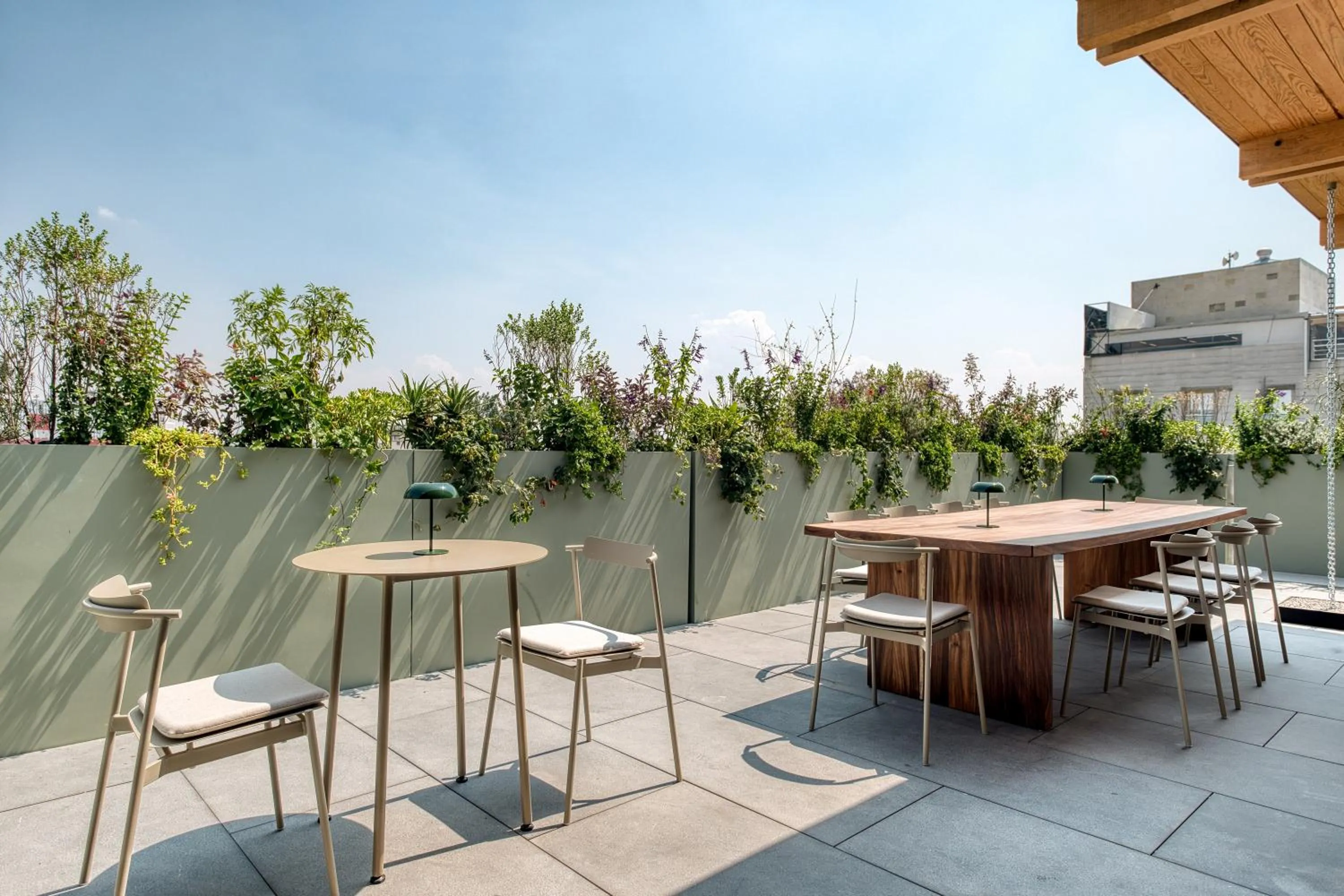 View (from property/room) in ONTO Alvaro Obregon Mexico City