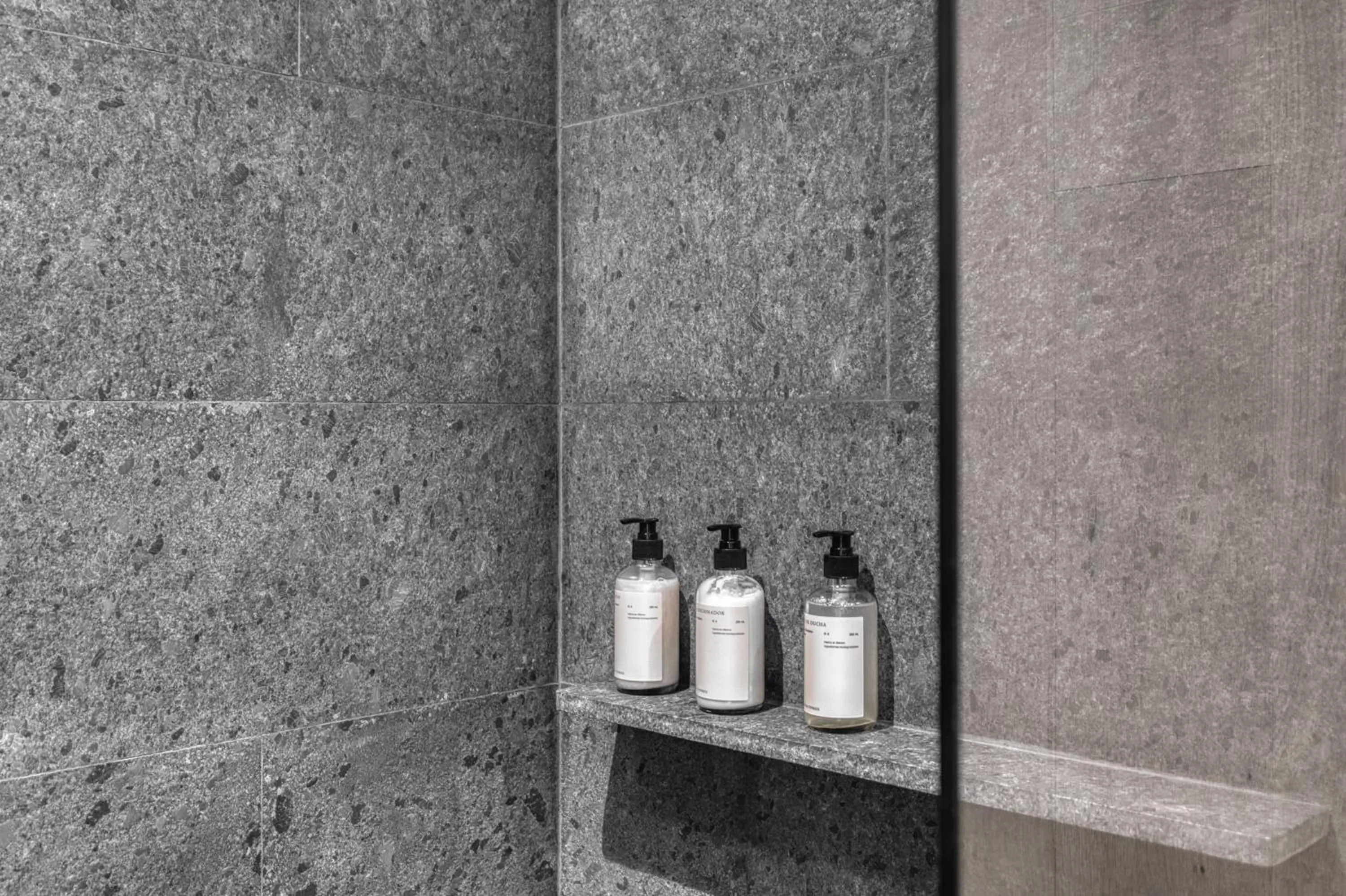 Shower in ONTO Alvaro Obregon Mexico City