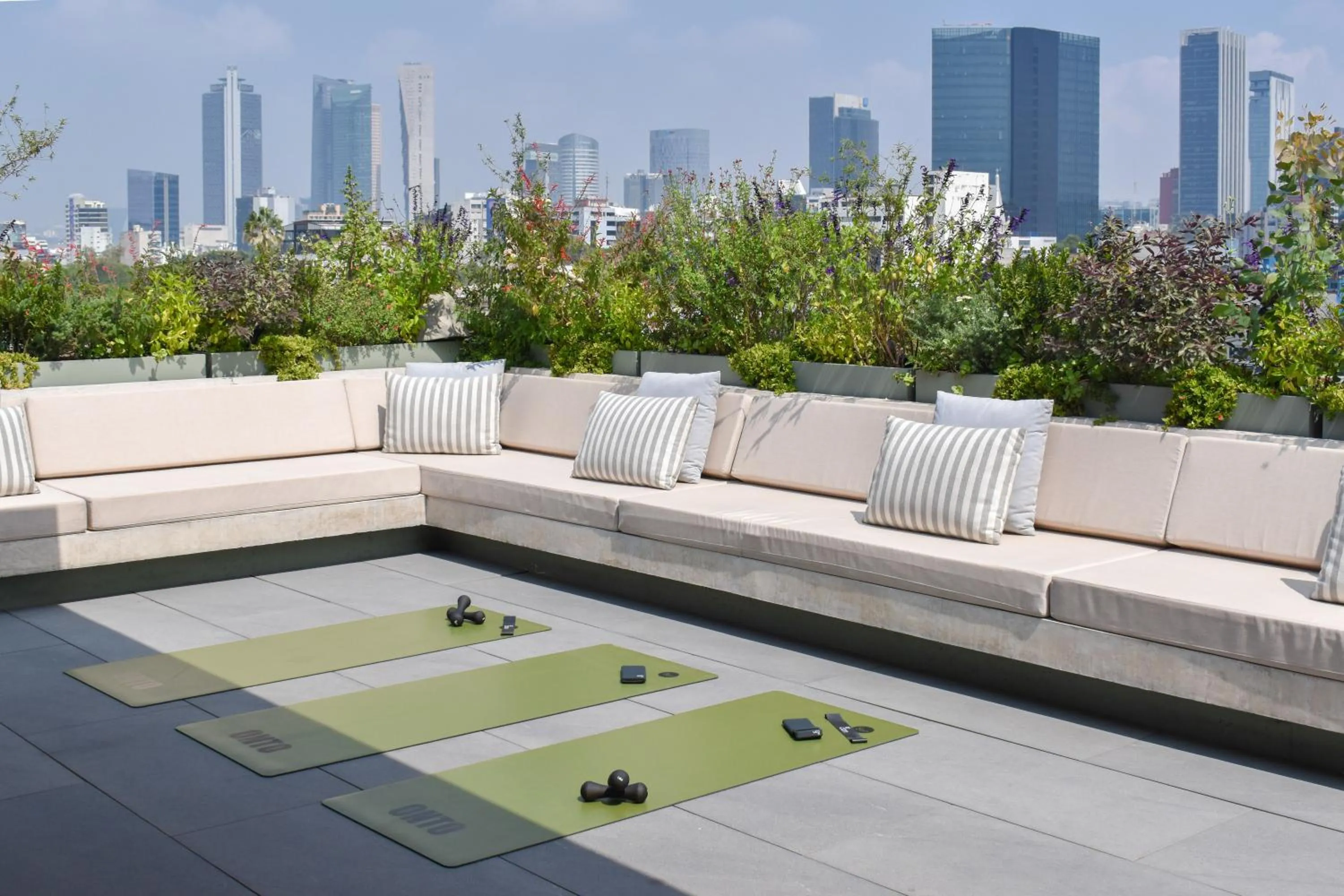 Garden view in ONTO Alvaro Obregon Mexico City