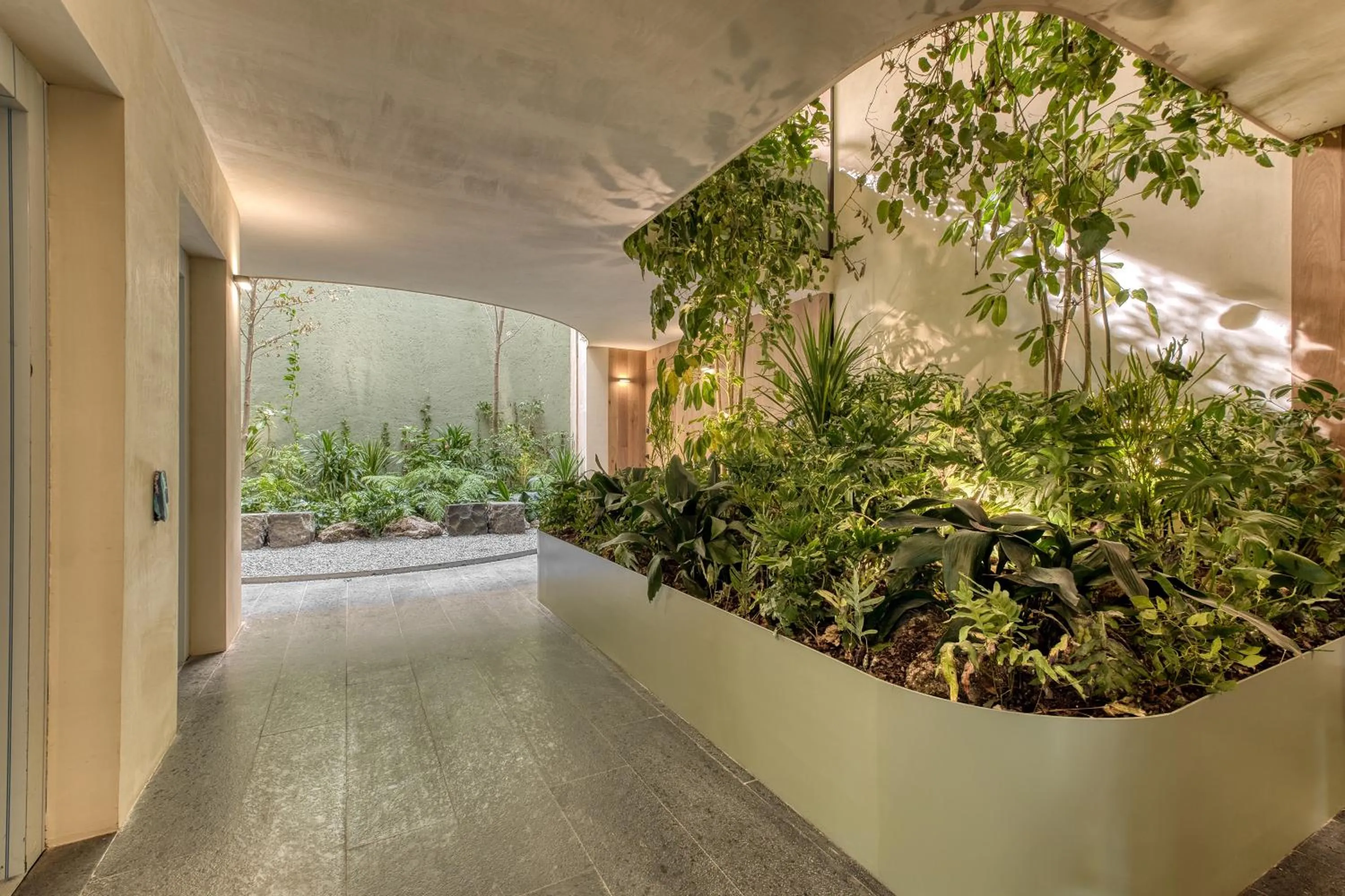 Garden view in ONTO Alvaro Obregon Mexico City