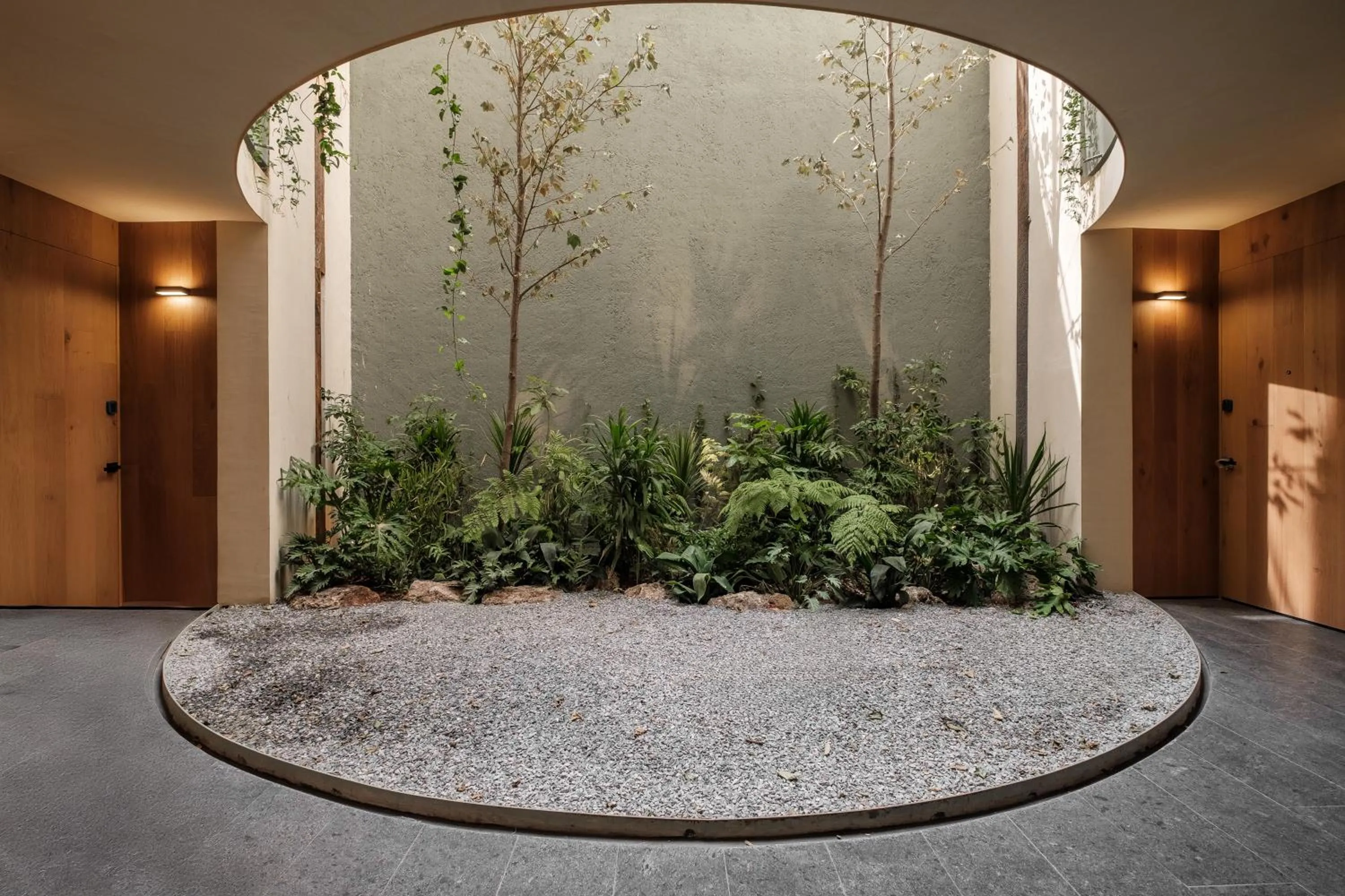 Garden in ONTO Alvaro Obregon Mexico City