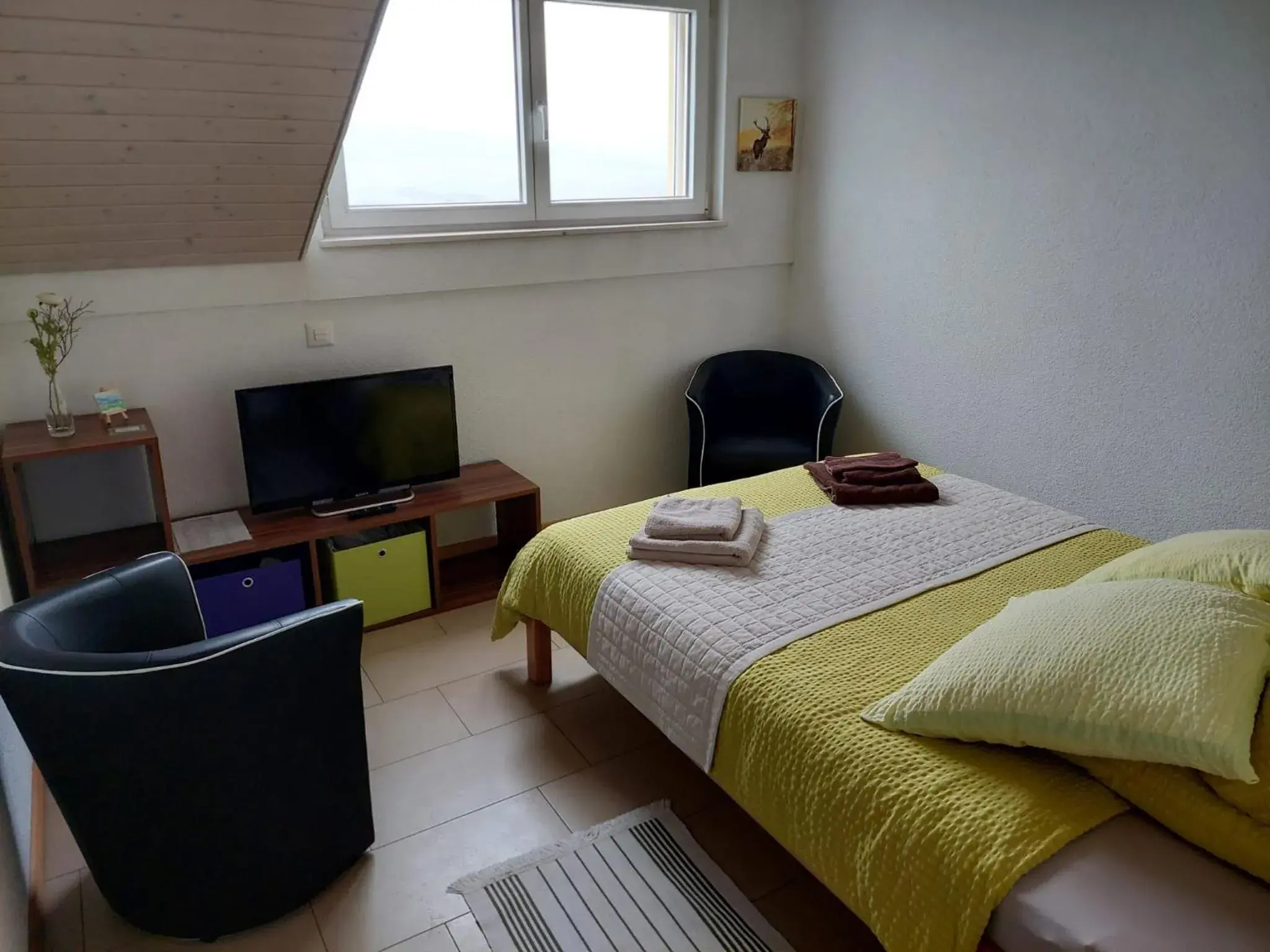 Double Room with Private Bathroom - single occupancy in BNB Les Prises Double Room with Private Bathroom - single occupancy in BNB Les Prises