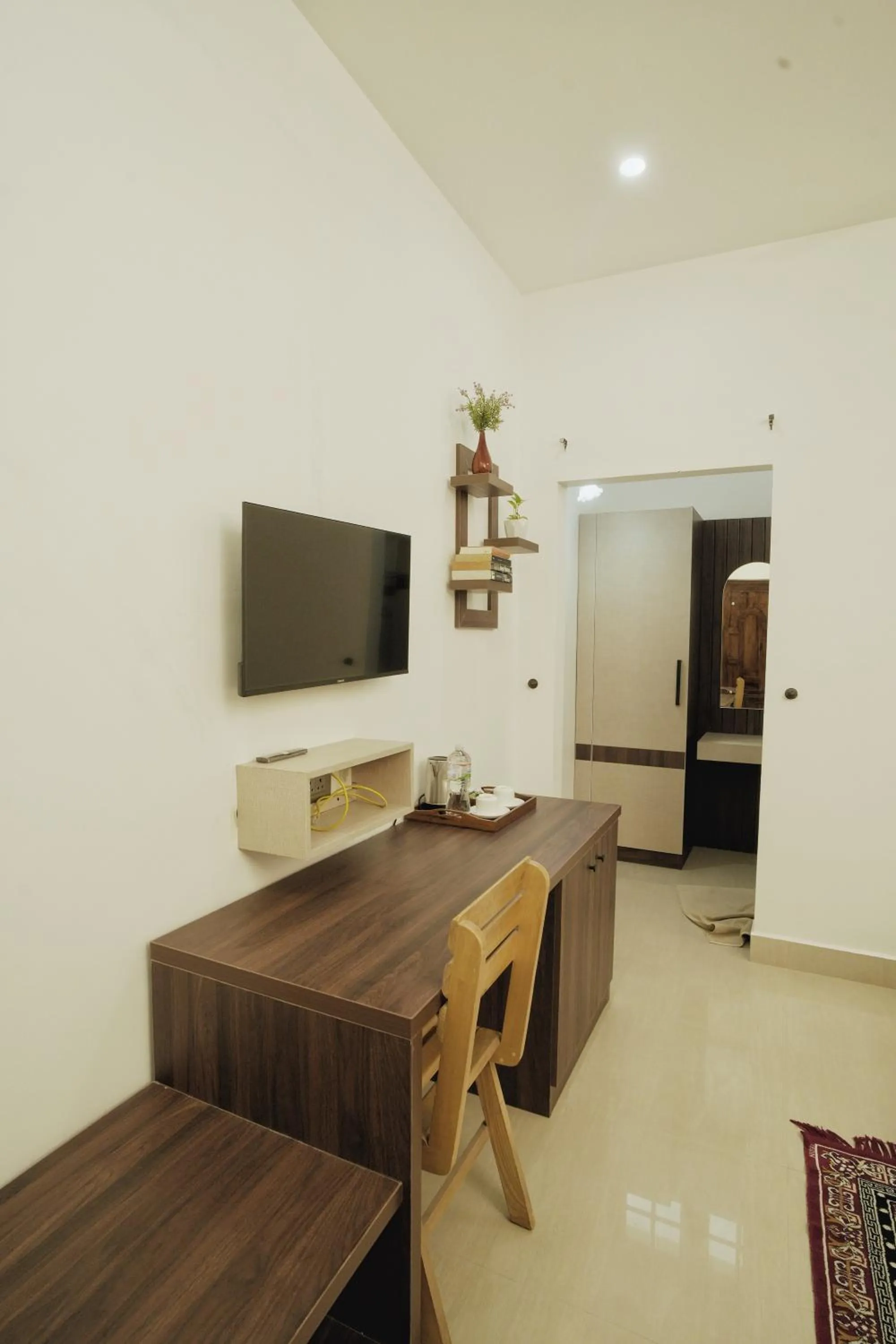 TV and multimedia in Paradiso