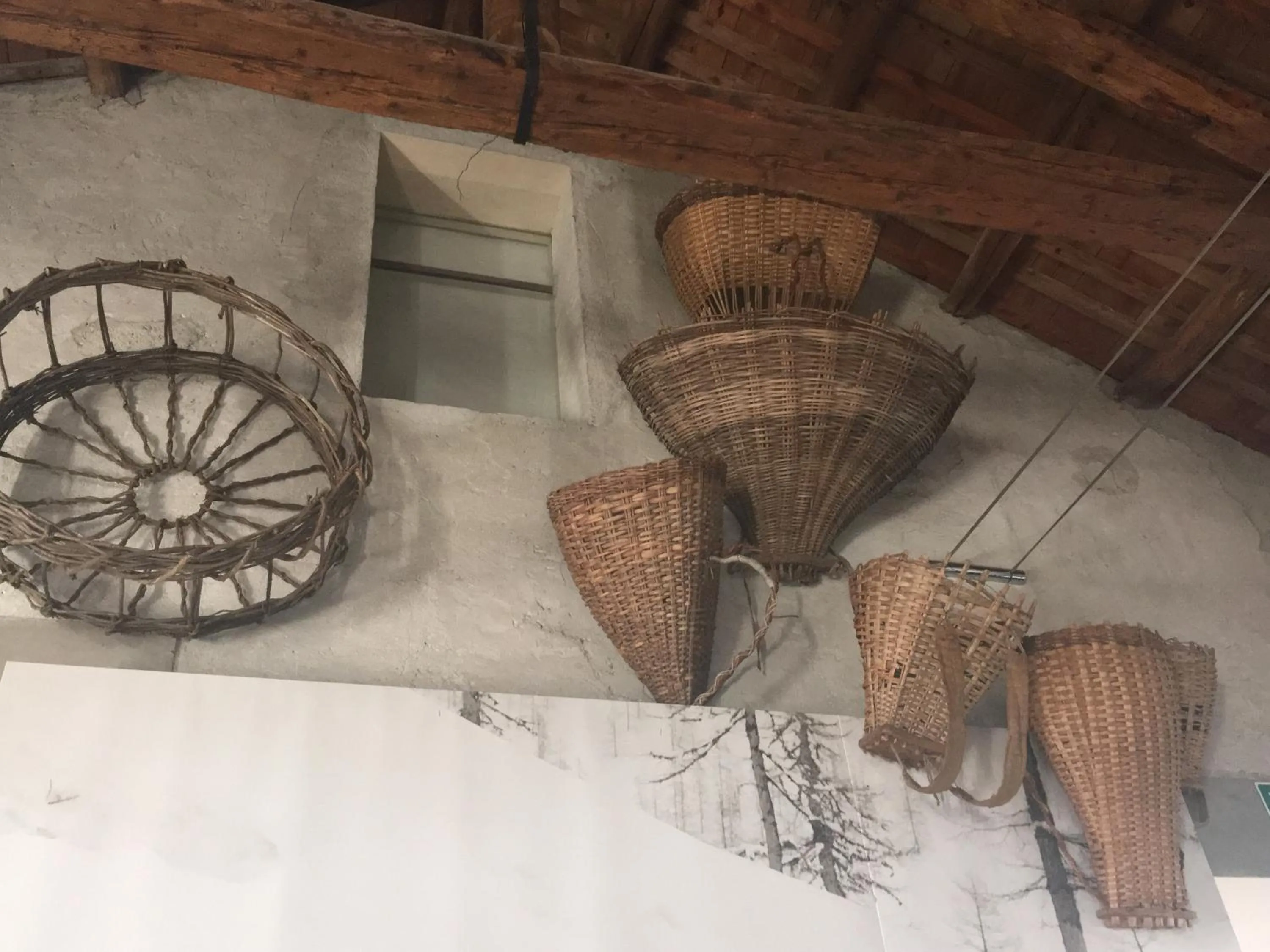 Activities in B&B Dolomitincanto