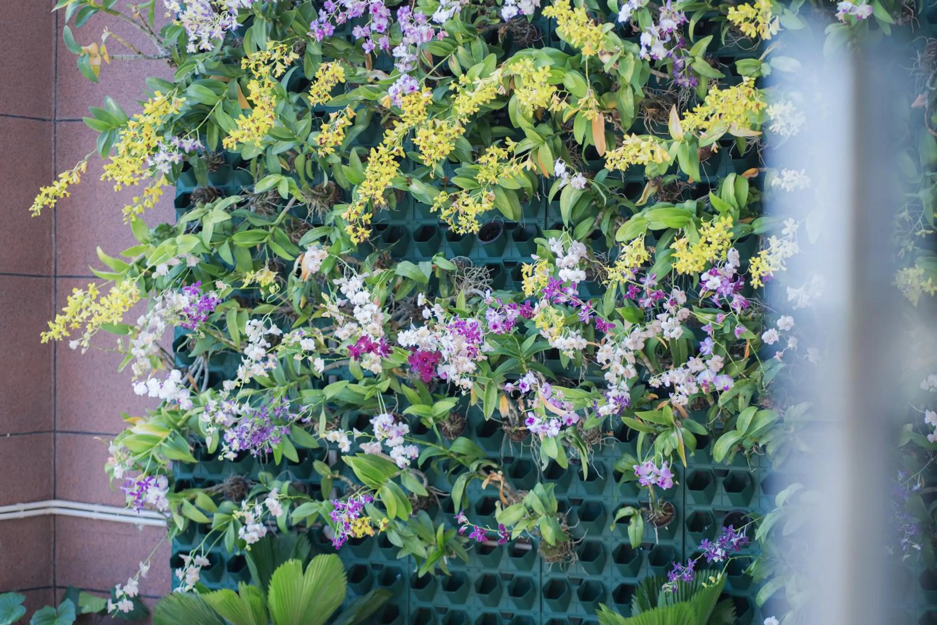 Garden in Ramada by Wyndham Vientiane Central