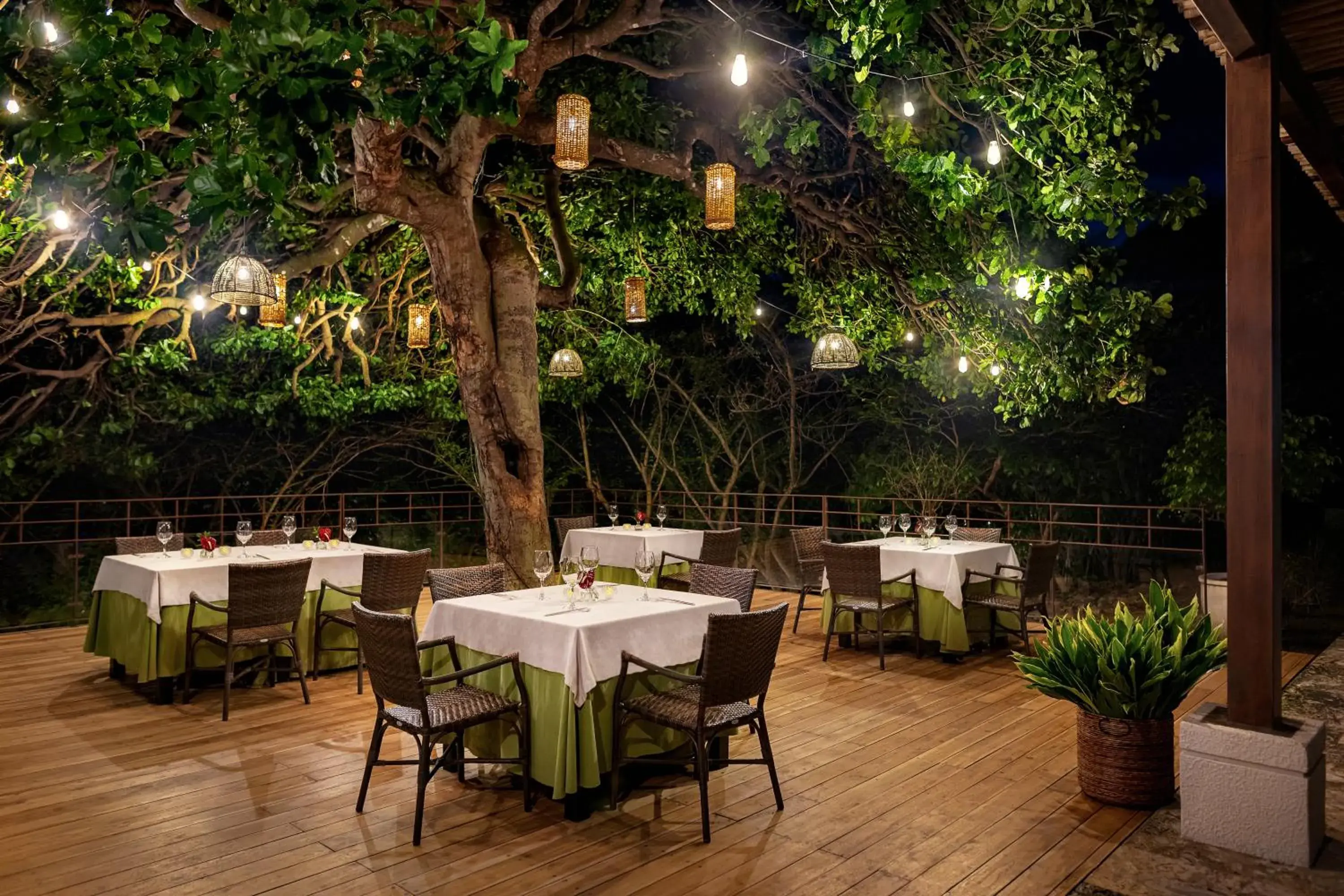 Restaurant/places to eat in Dreams Las Mareas All Inclusive Restaurant/places to eat in Dreams Las Mareas All Inclusive