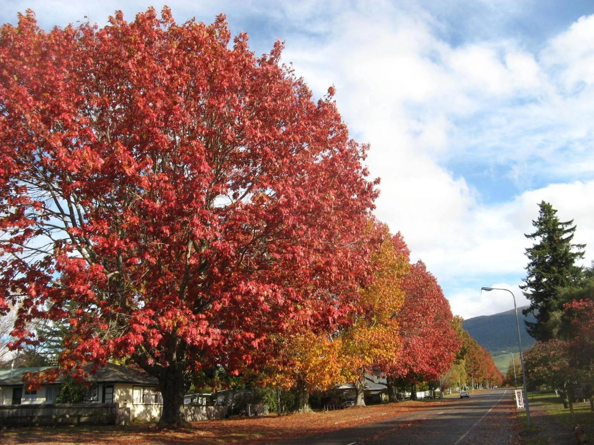 Facade/entrance in Tongariro River Motel