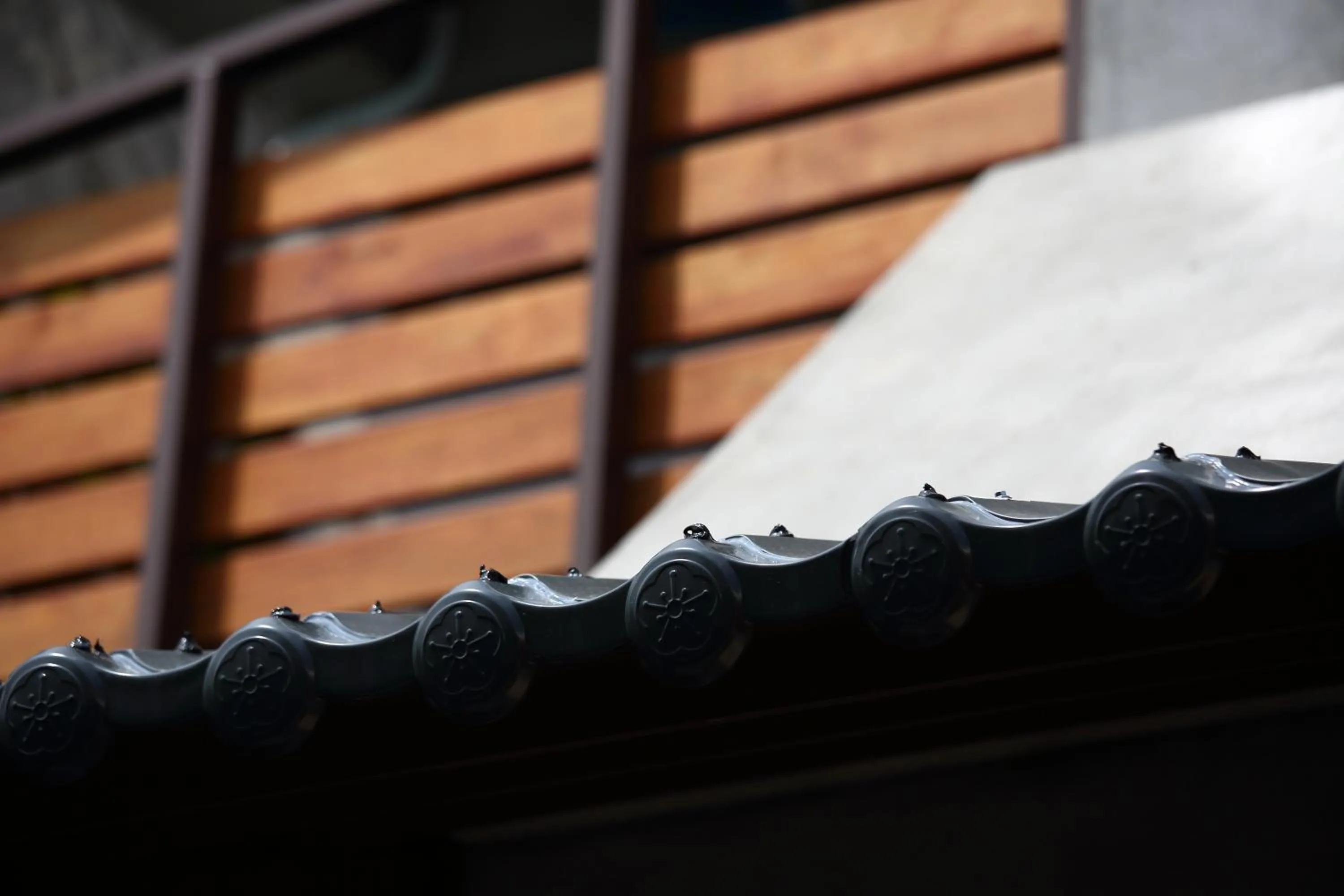 Property building in Ttdropin Homestay