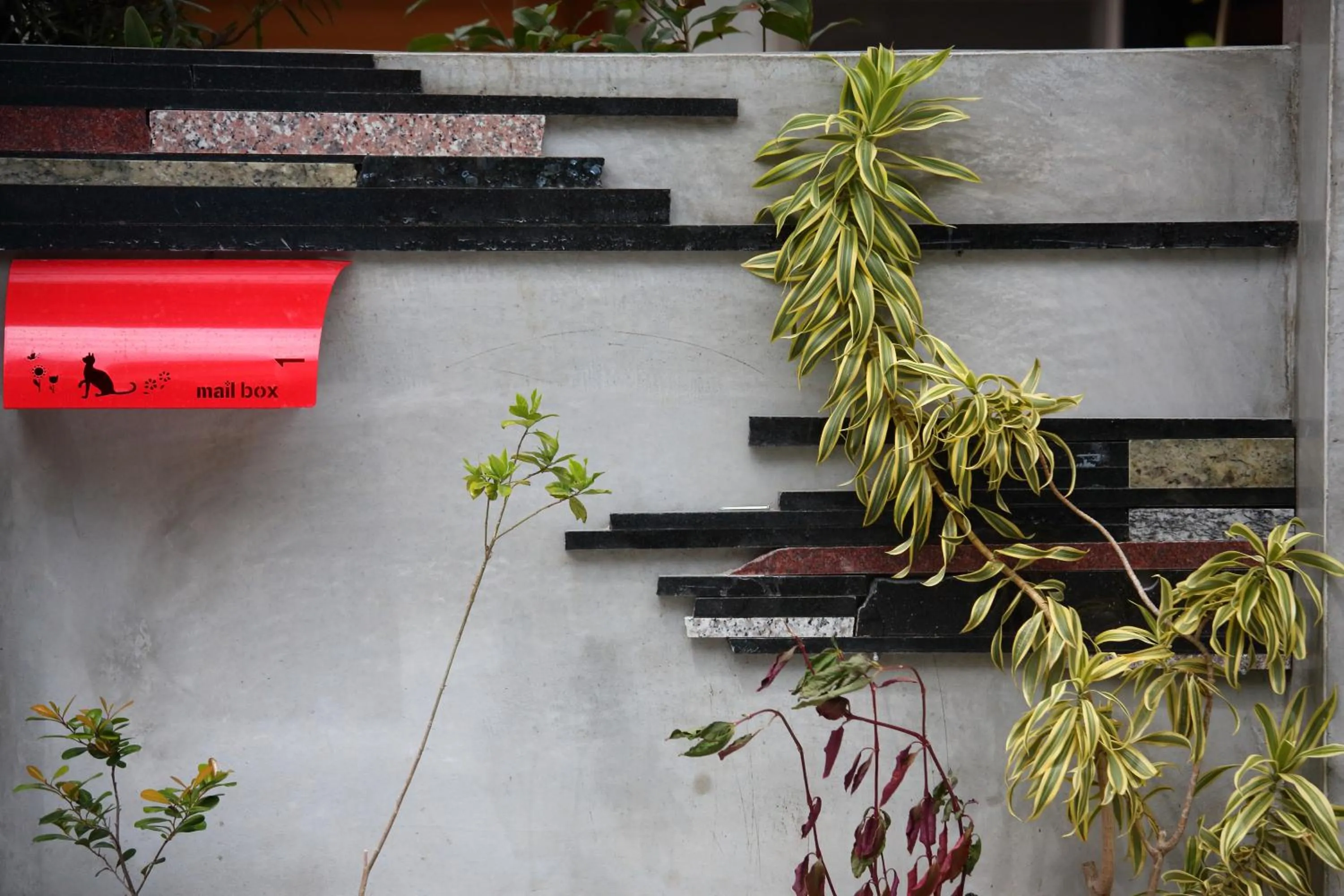 Property building in Ttdropin Homestay