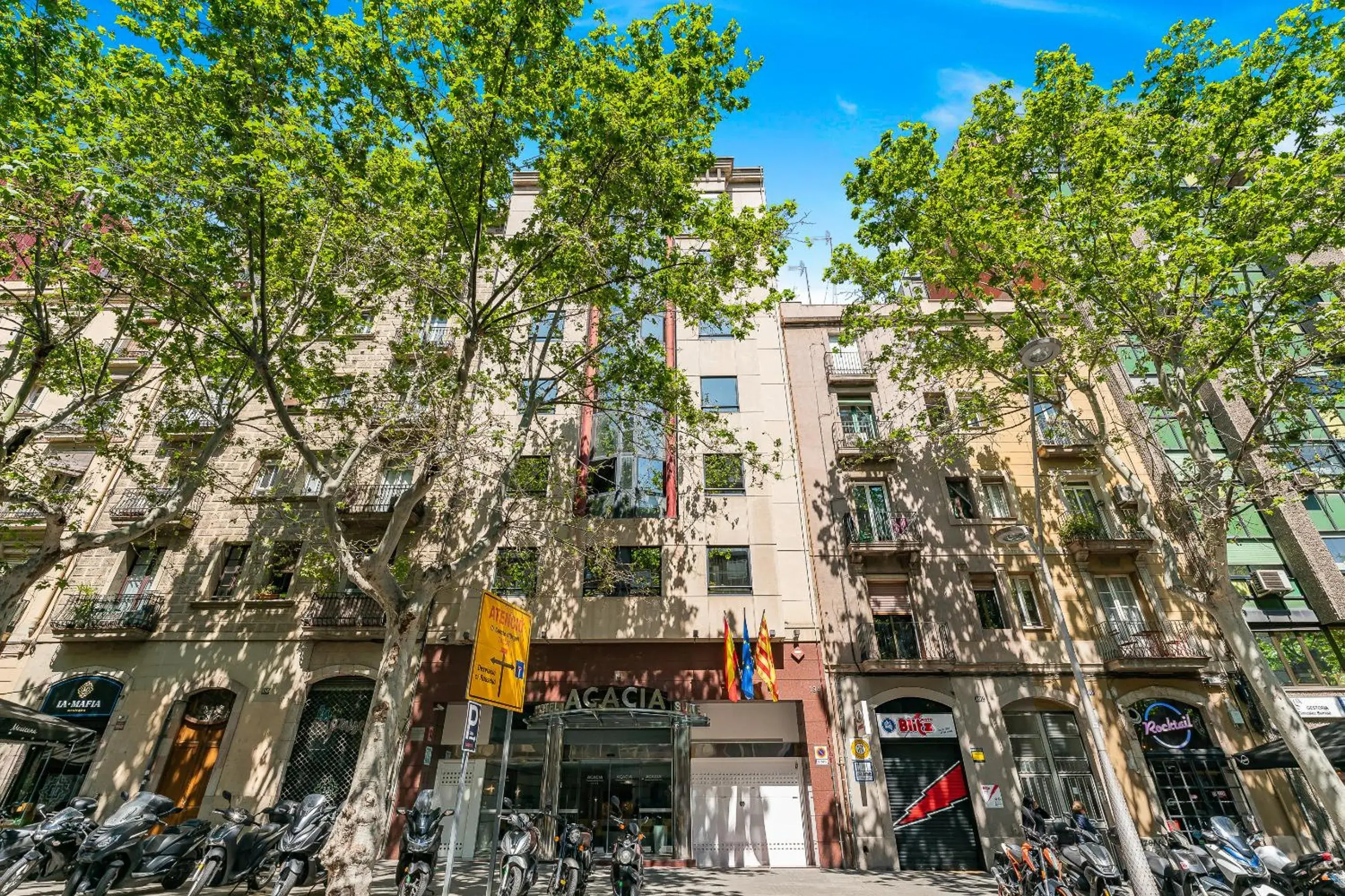 Facade/entrance in Acacia Suite Facade/entrance in Acacia Suite