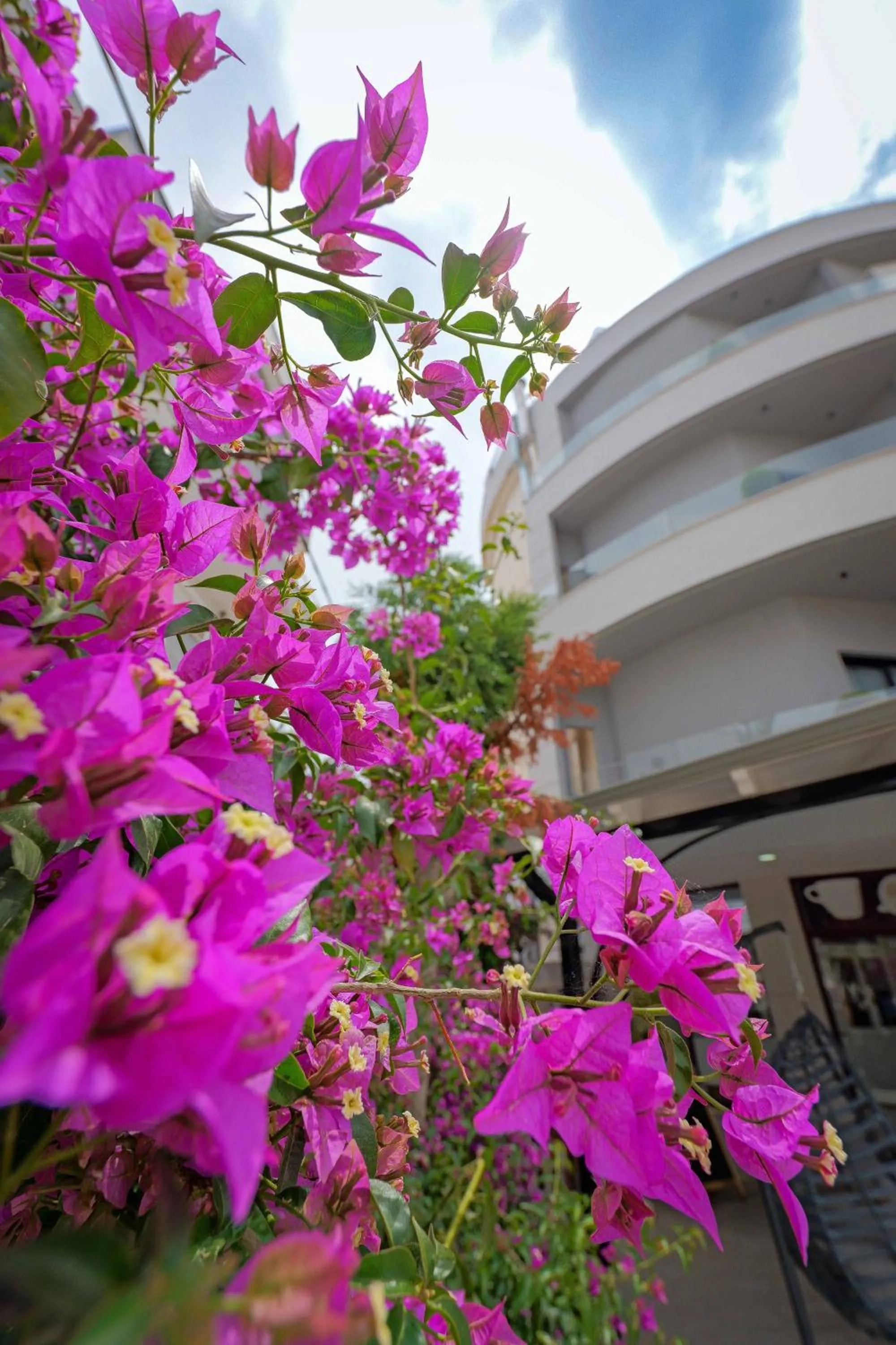 Property building in Hotel Kroi