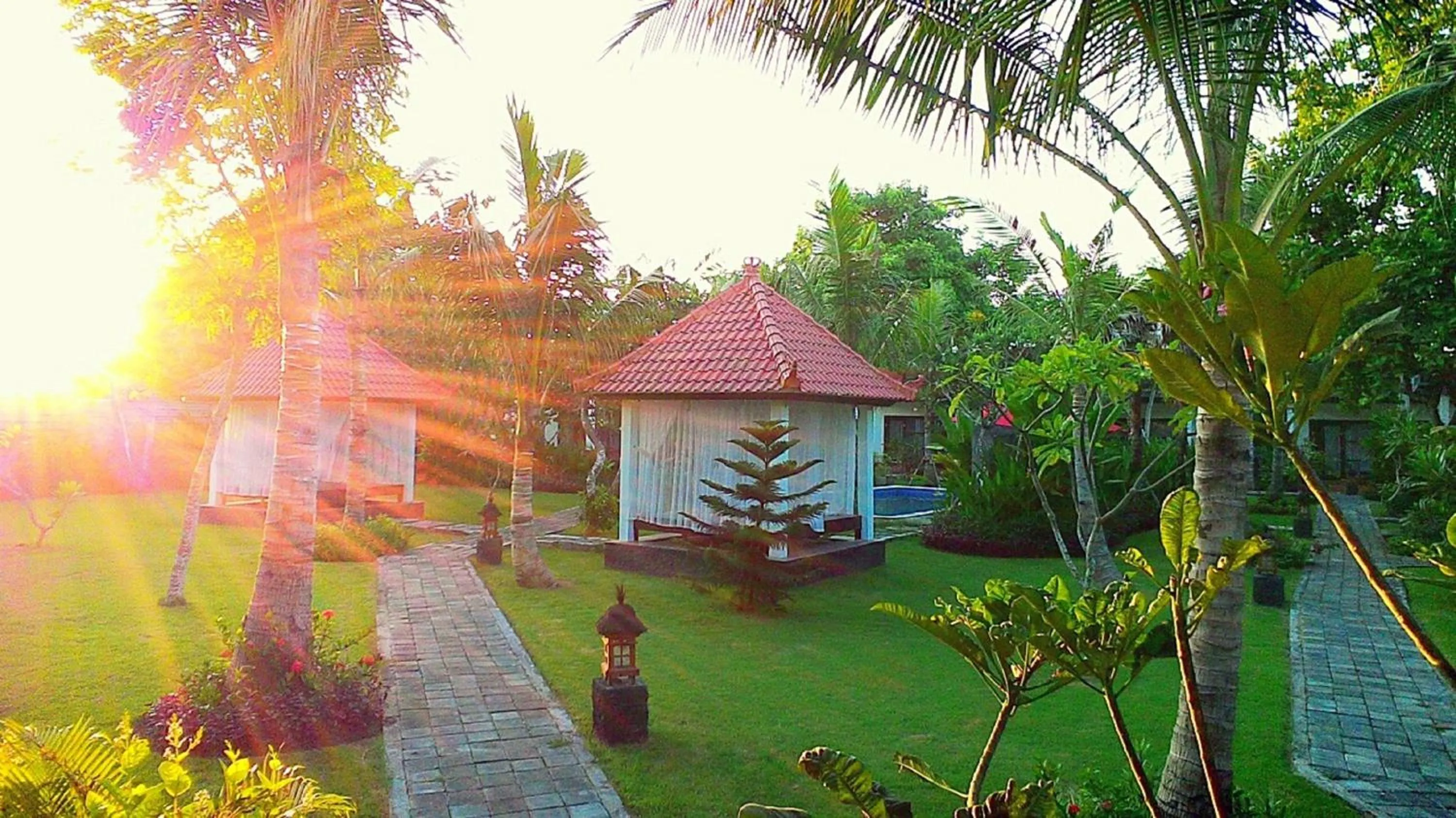 D'Mell Bali